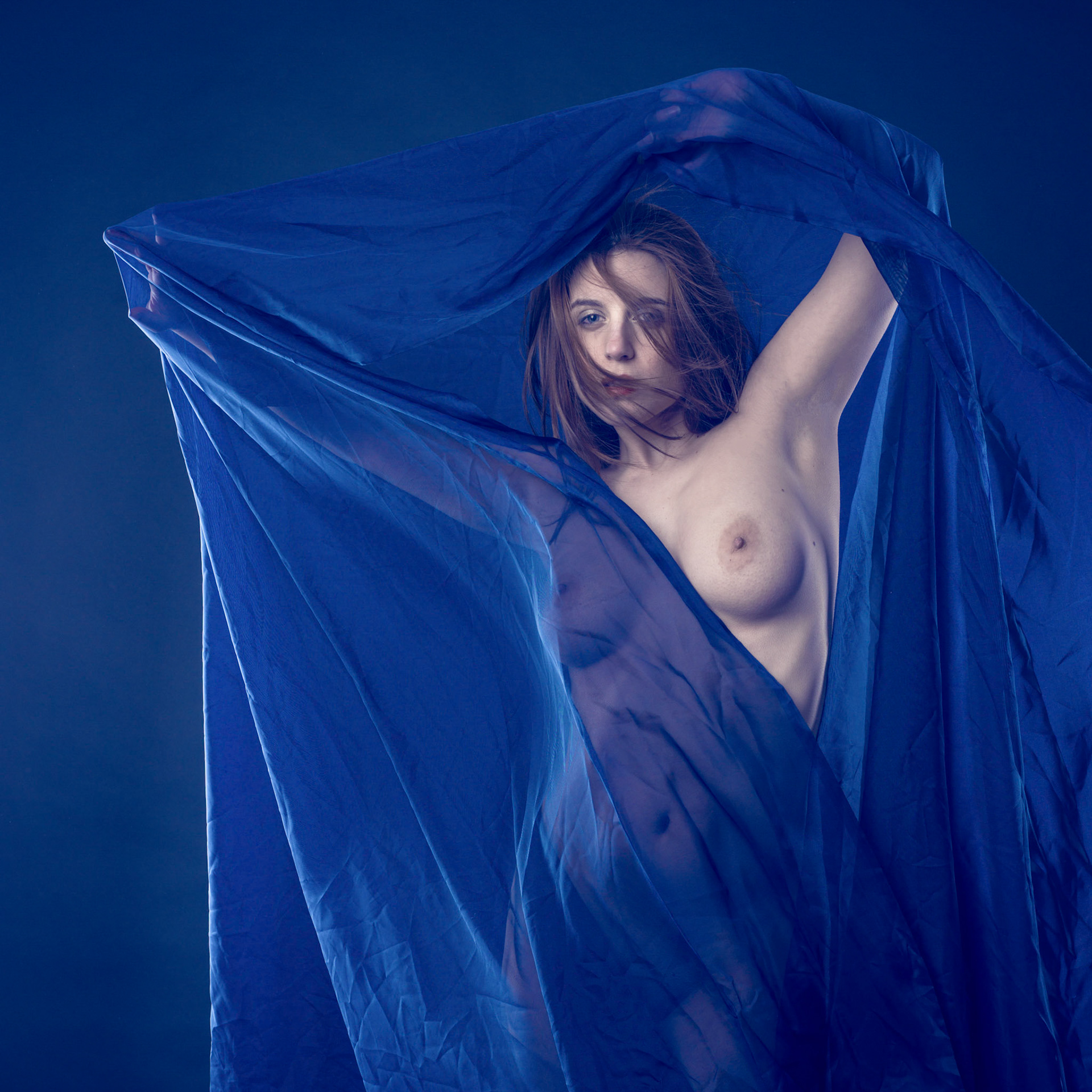 Model: Irida