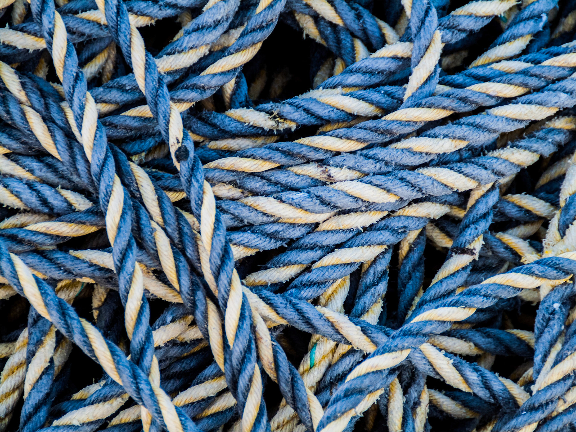 Orkney Islands, - 2005