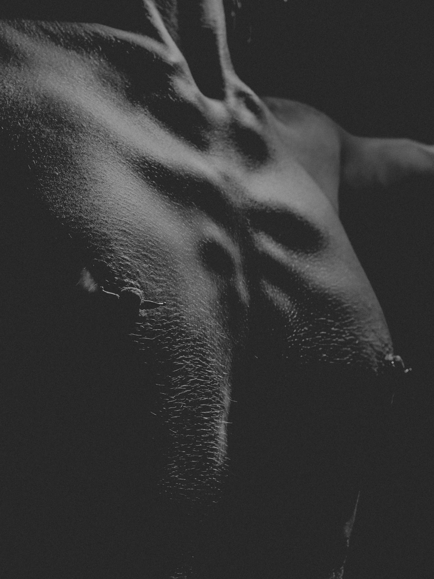 Model: Melissa Pacey