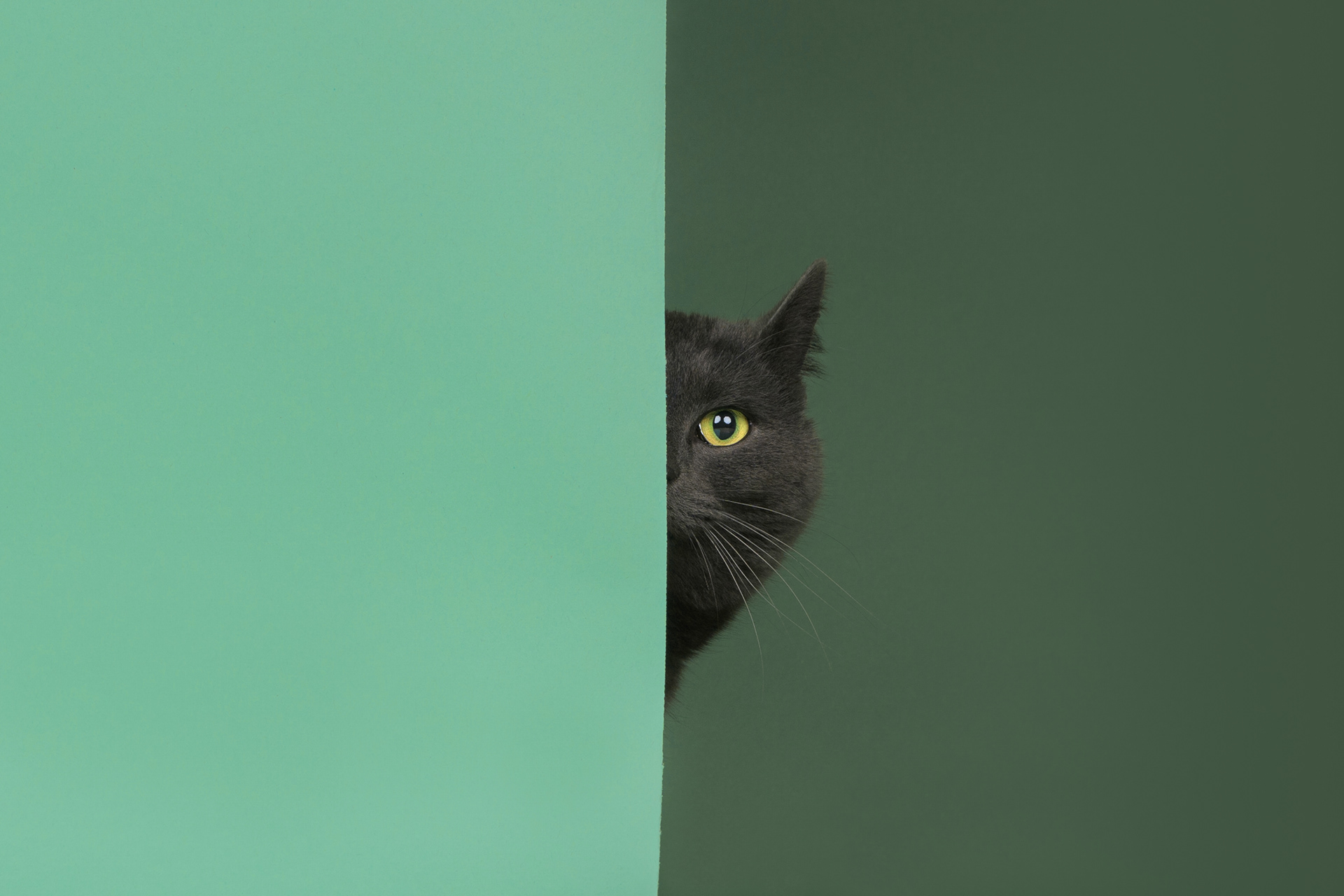Hide and seek