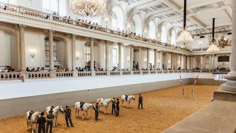 Spanish Riding School