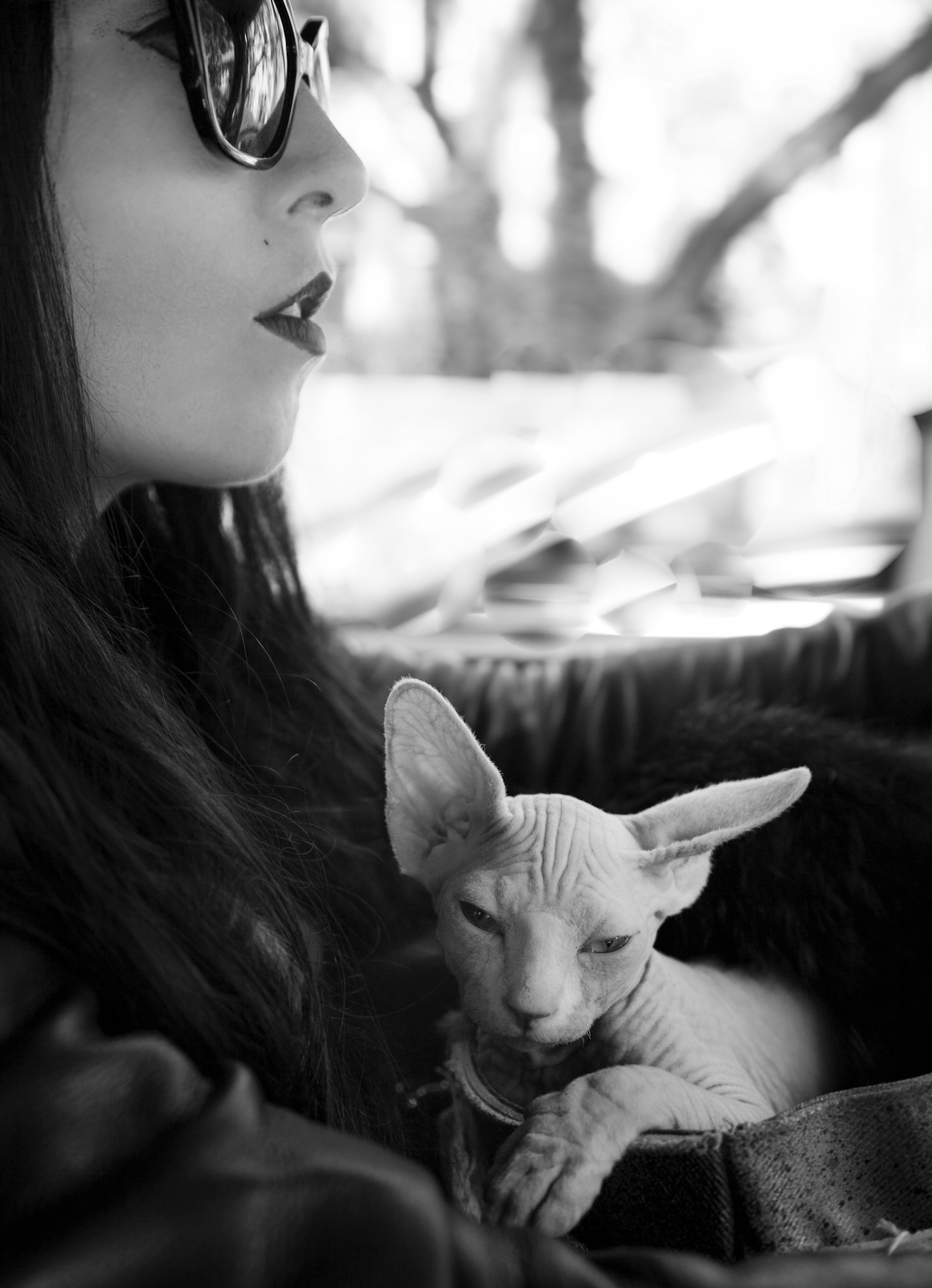 Bea Ackerlund