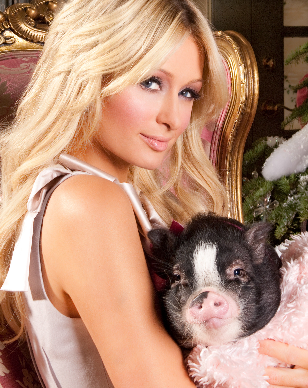 Paris Hilton