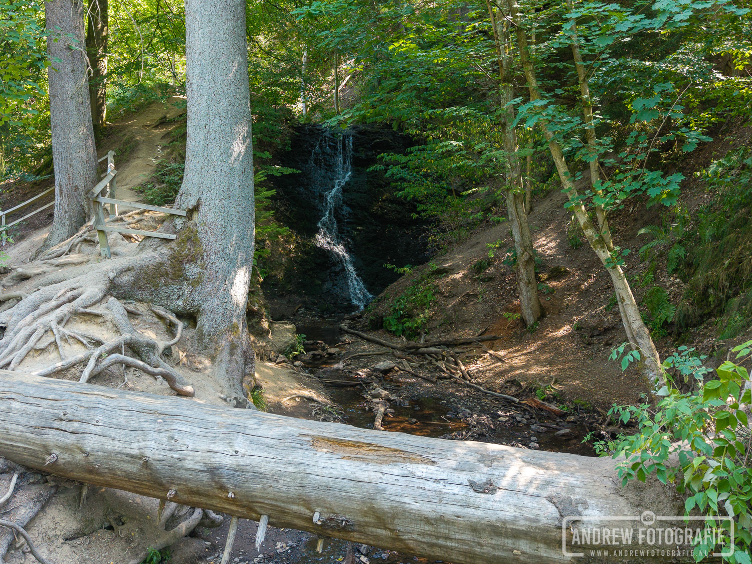 Sfeervolle bosomgeving rondom de Zorger Wasserfall in Zorge (Harz)