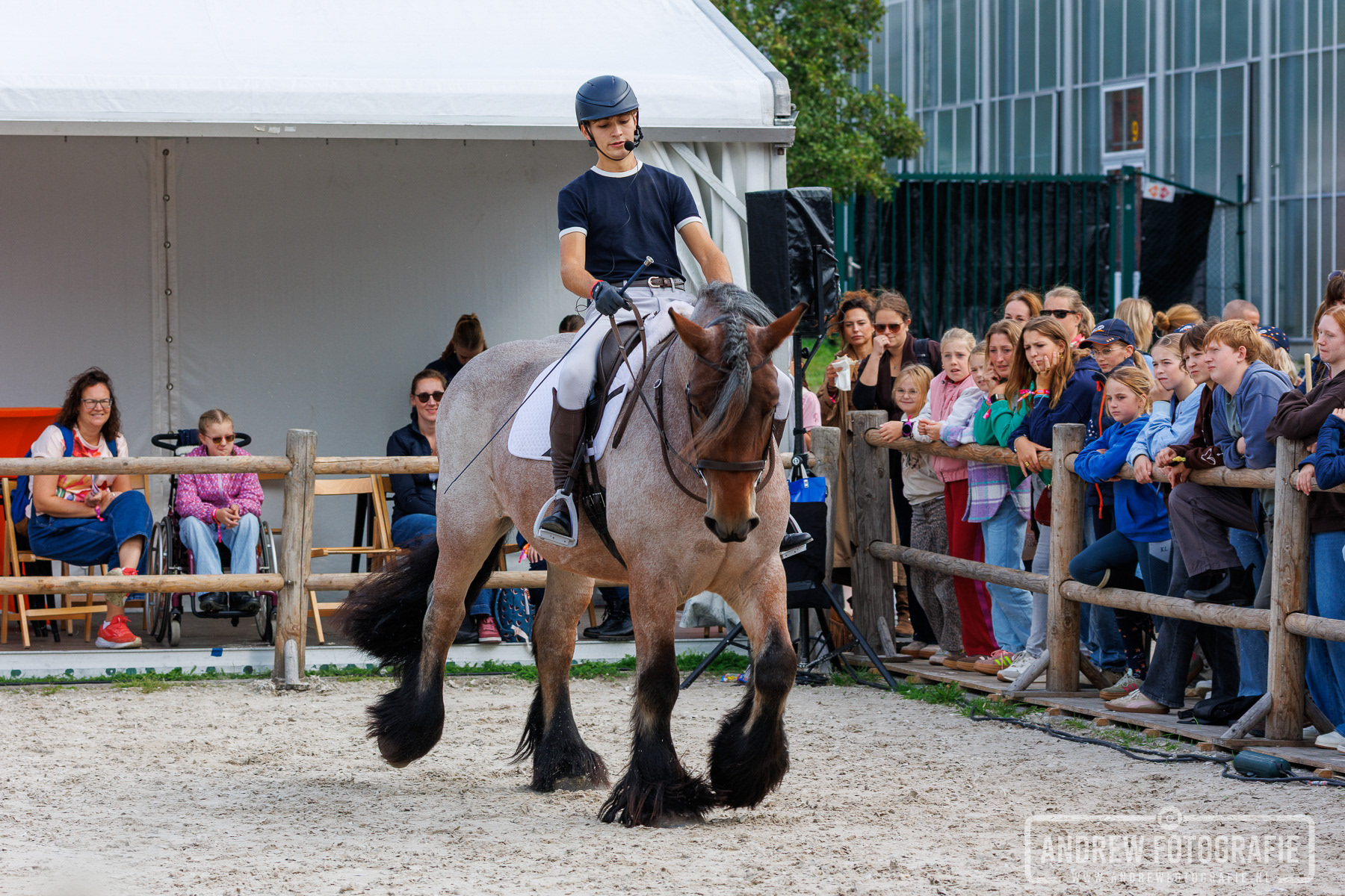 Robin Cooijmans rijdt op Bente langs de enthousiaste toeschouwers bij de omheining van Horse Event Youth 2026.
