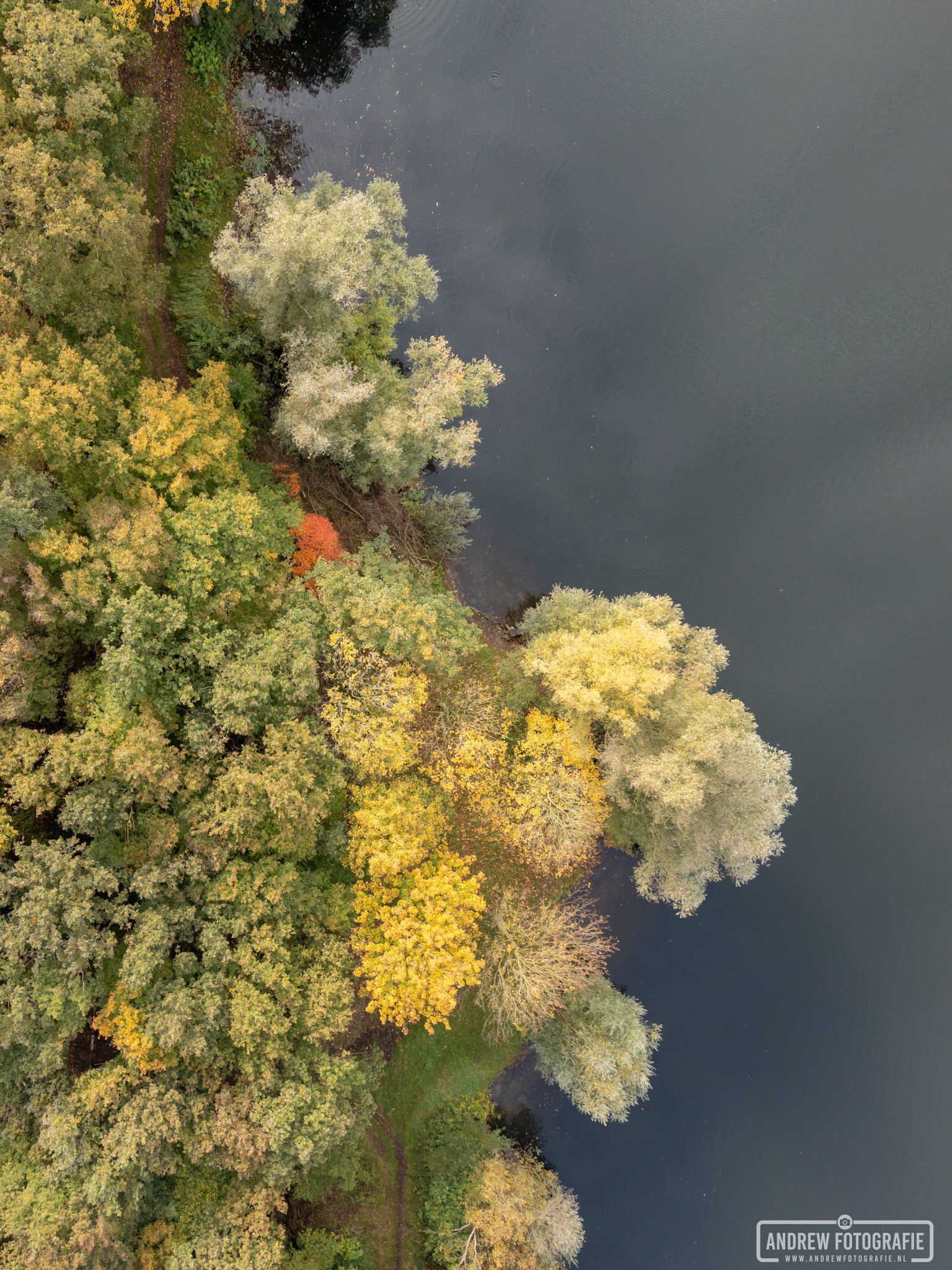 Het Hoge Venne (18-10-2024)