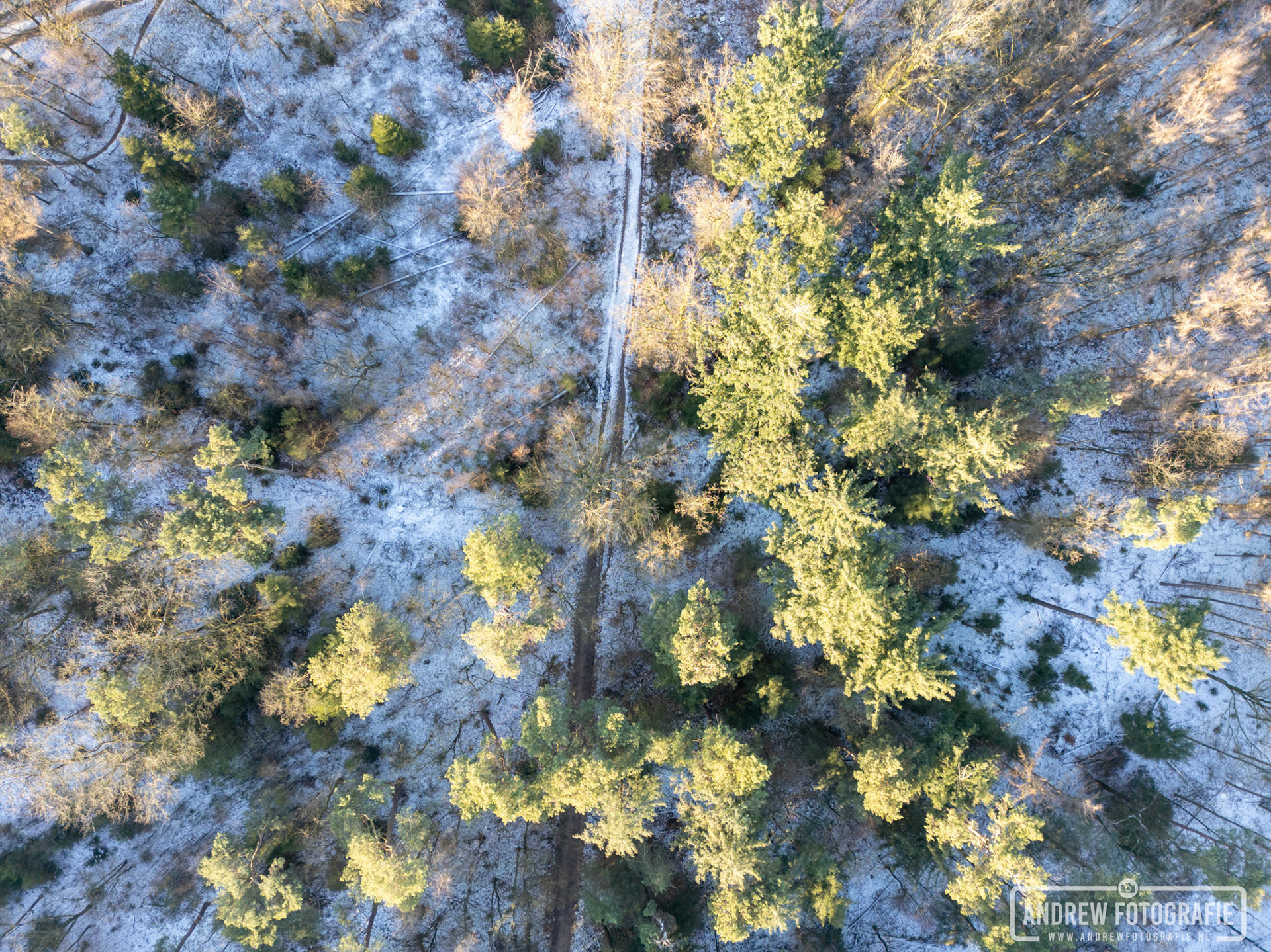 Bergherbos in Montferland (18-01-2024)