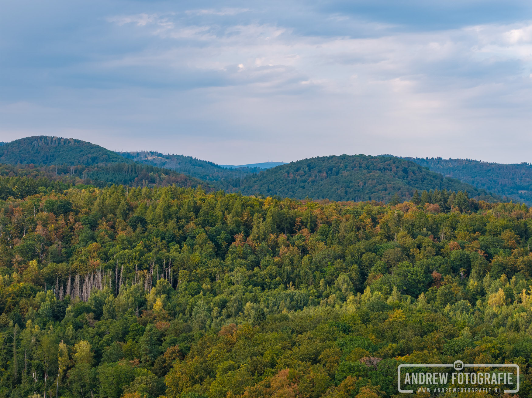 Uitgestrekte bossen en natuur rondom de lodges