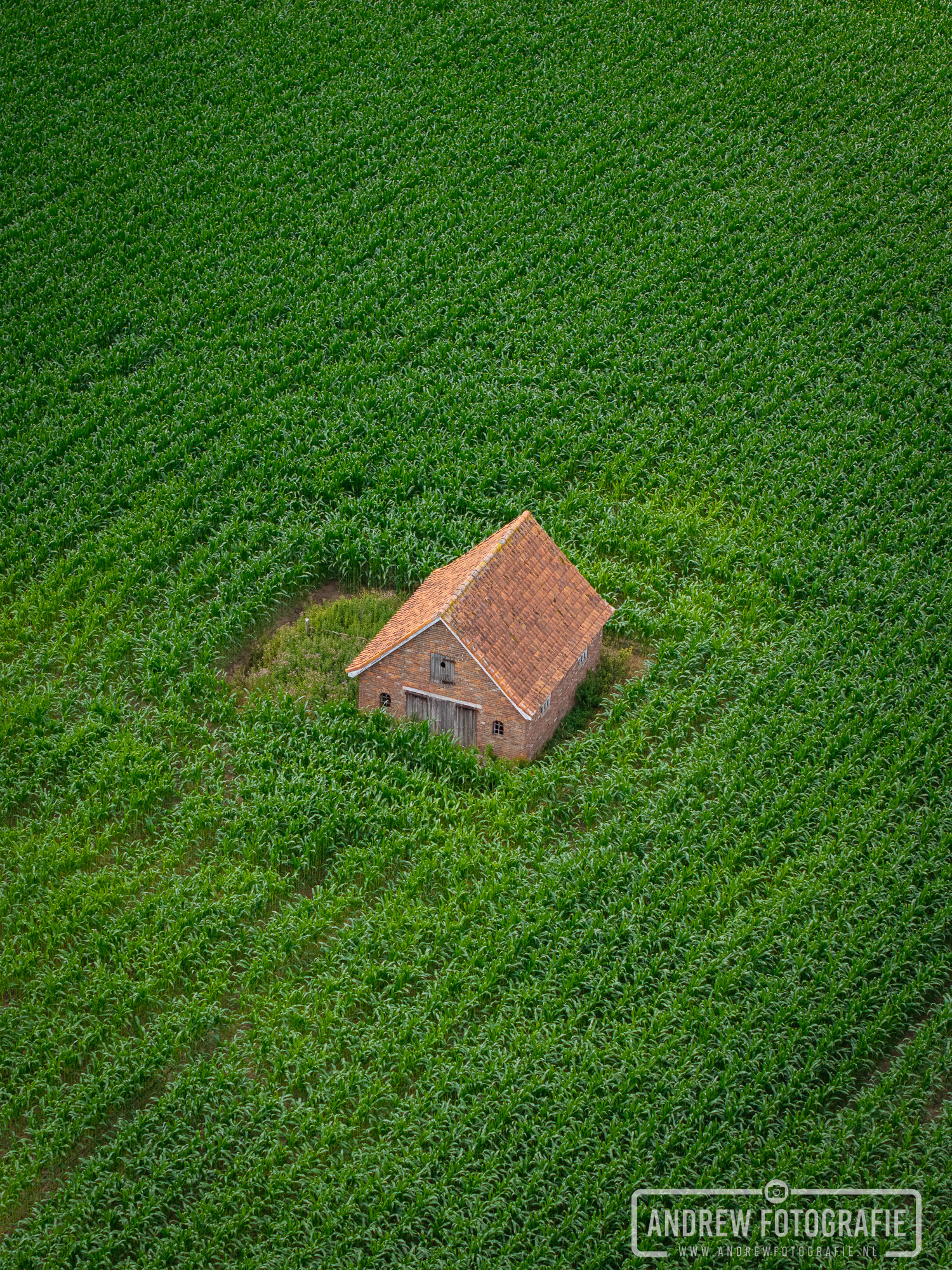 Luchtfoto vanuit een hoek van een oud schuurtje en de grafische lijnen van het Achterhoekse landschap per drone.