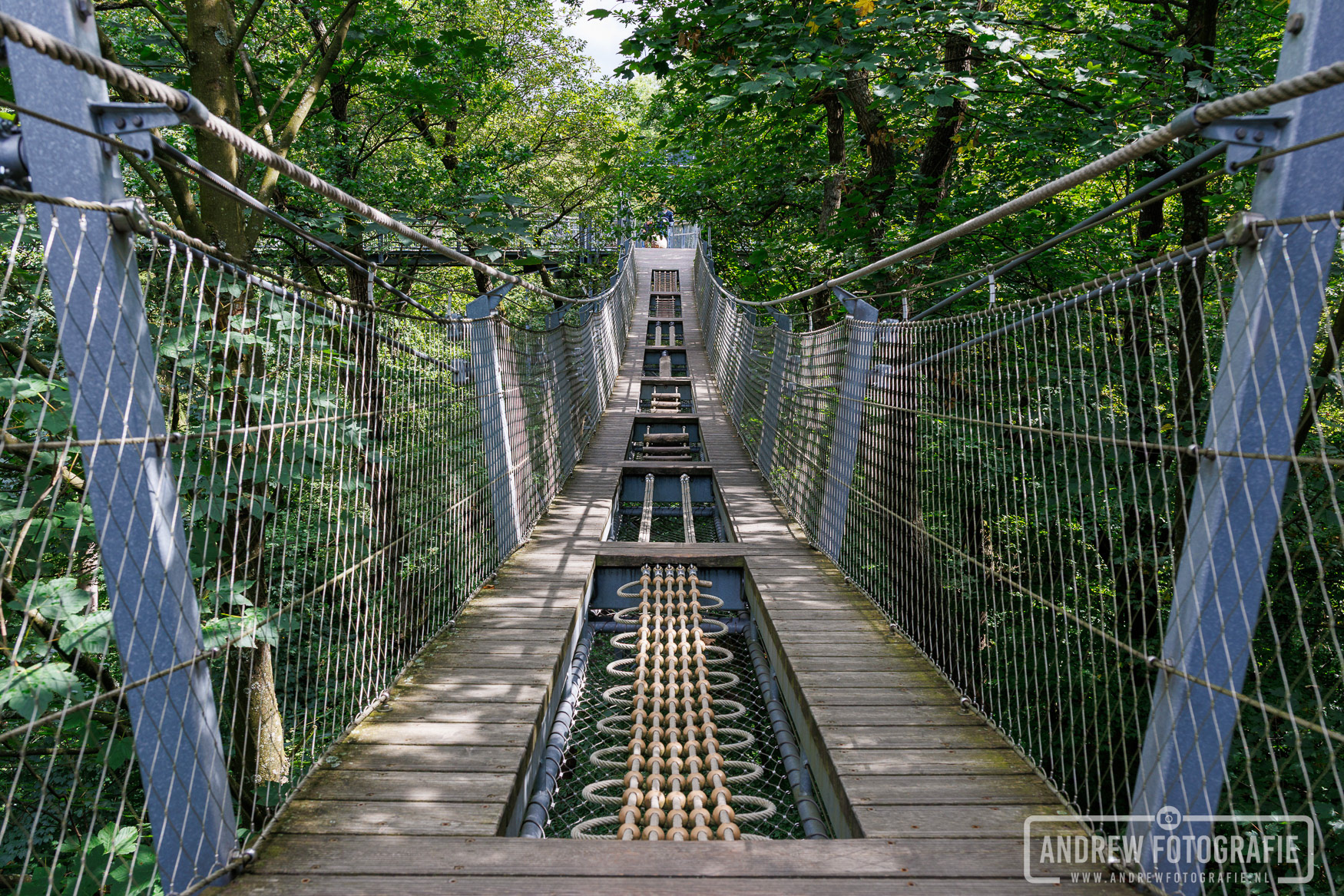 Avontuurlijk touwelement en klimbrug op het Baumwipfelpfad in Bad Harzburg.