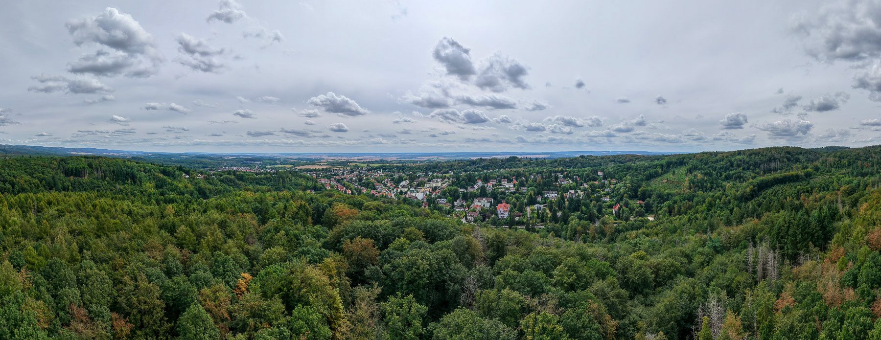PANORAMA / 360°