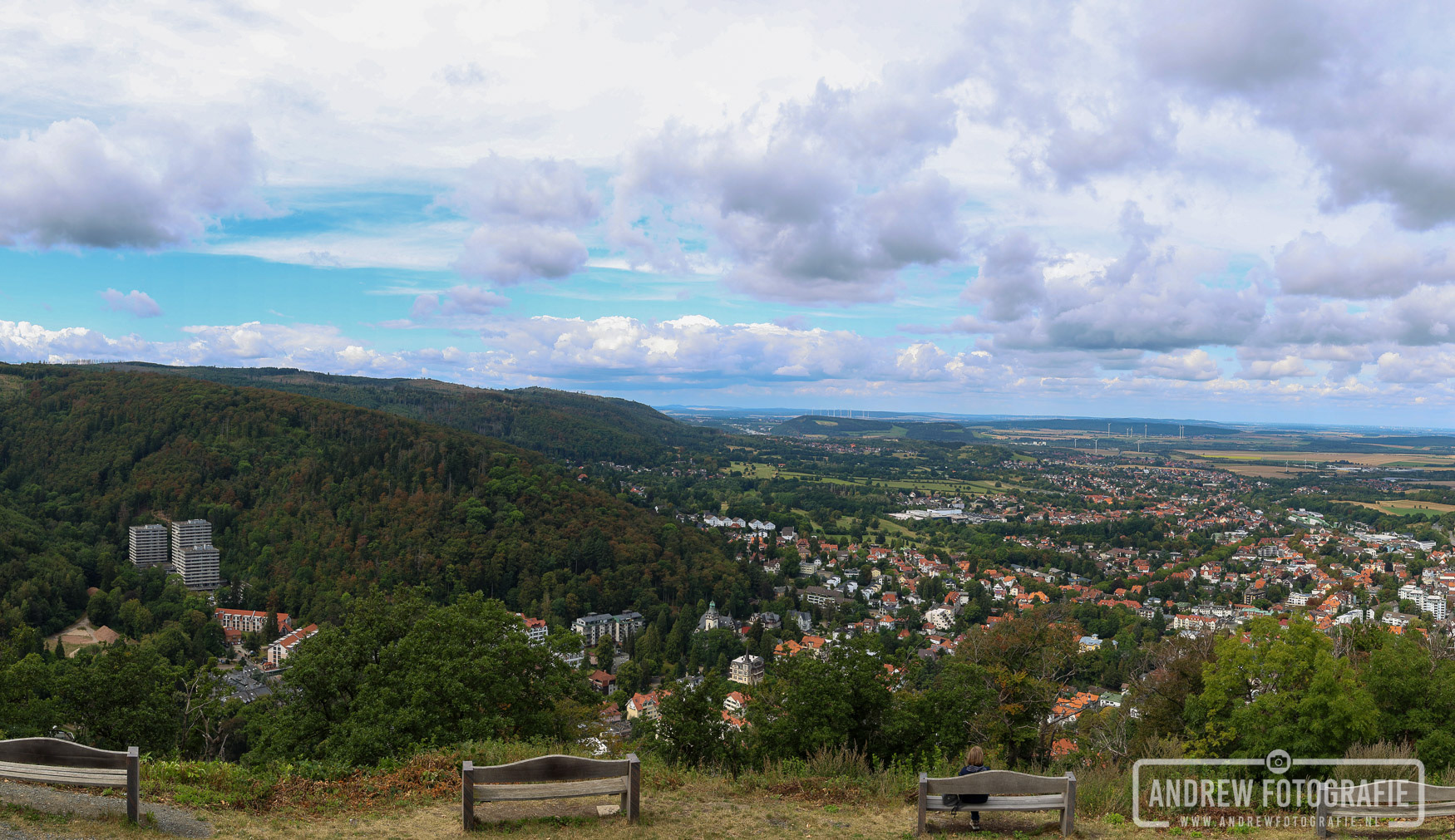 Panoramisch uitzicht over het stadje Bad Harzburg en het Harzvoorland