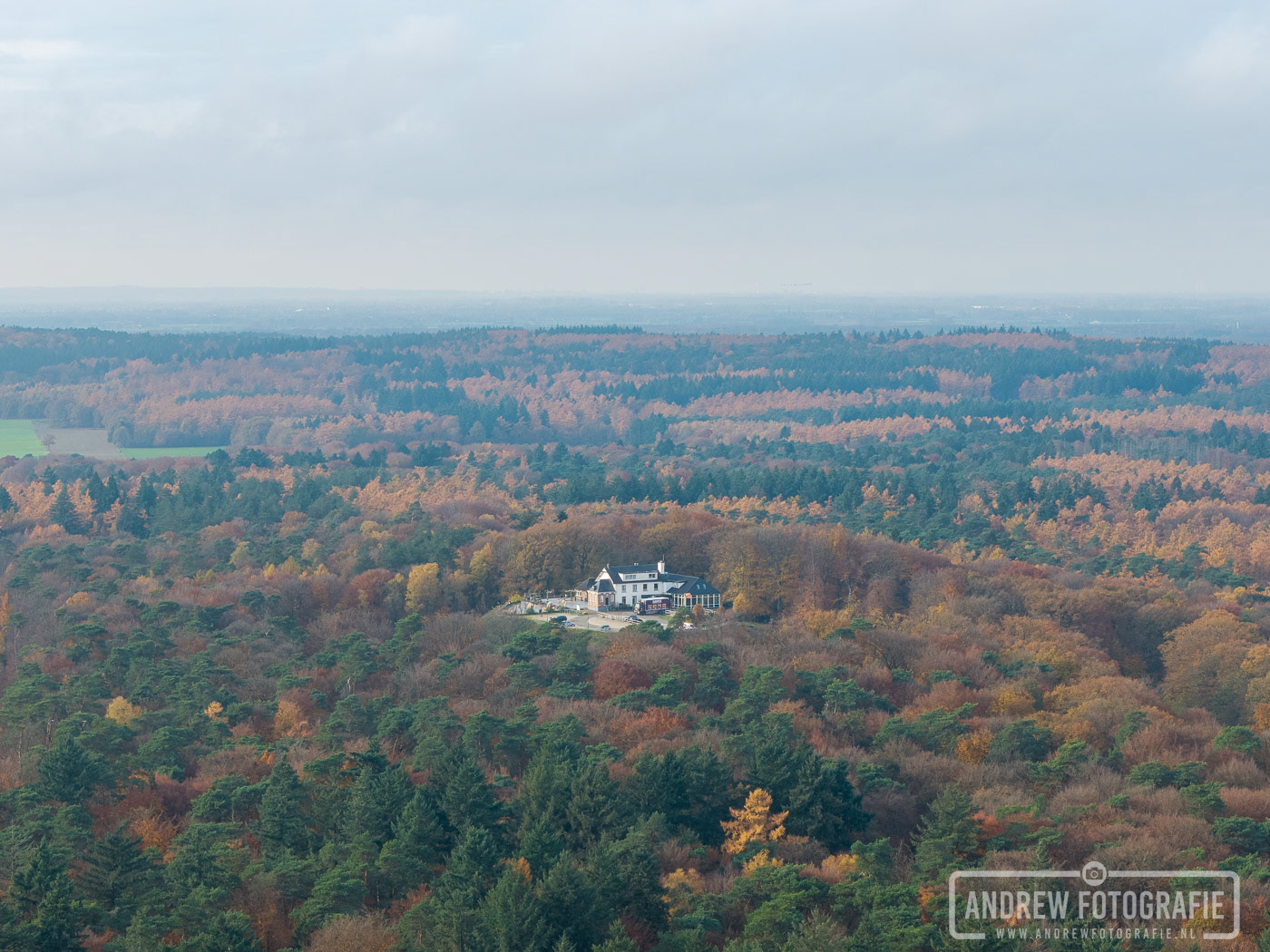 Hotel-Restaurant Het Montferland verscholen in het herfstige Bergherbos.