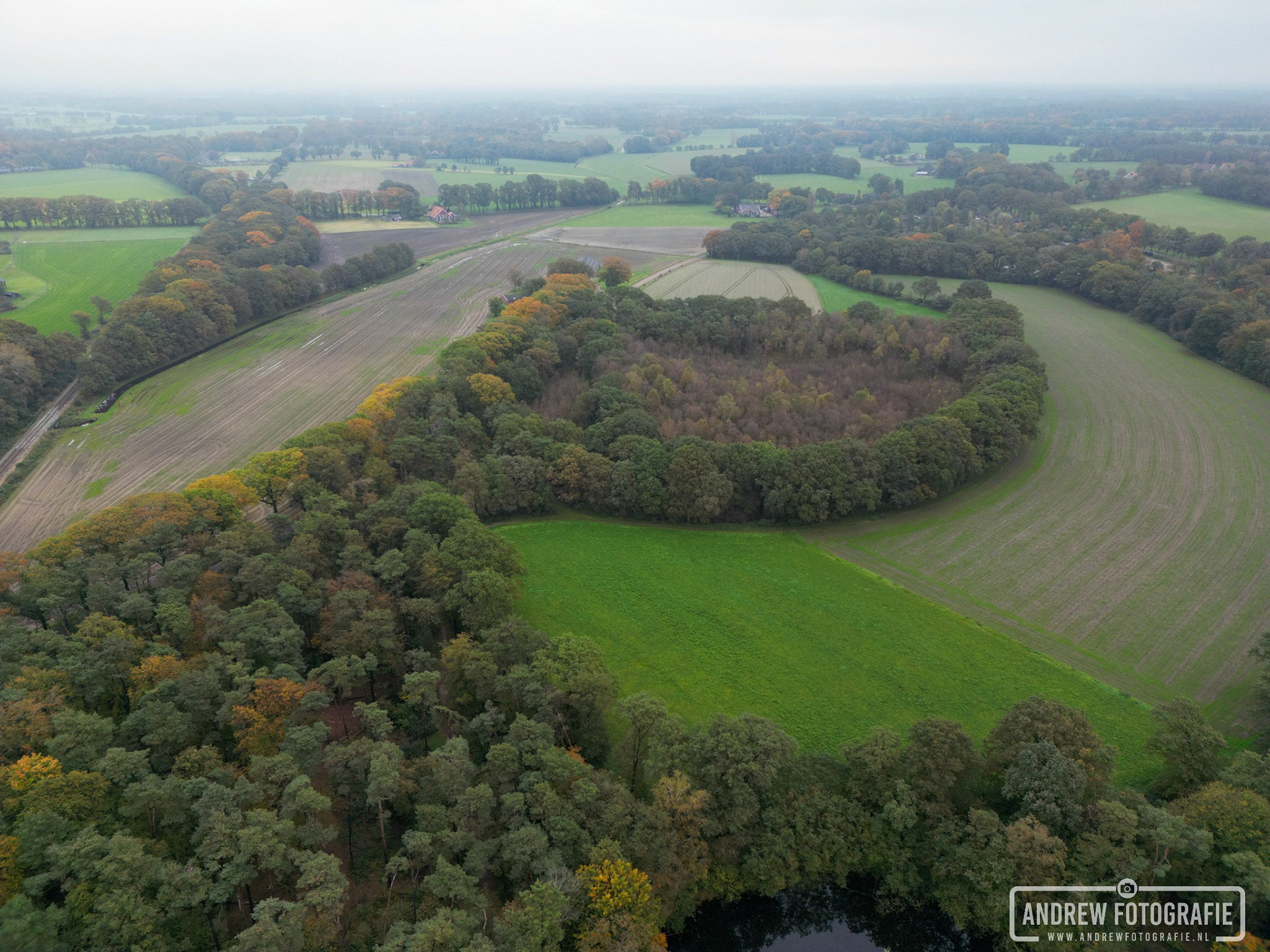 Loohuisbos Aalten (26-10-2023)
