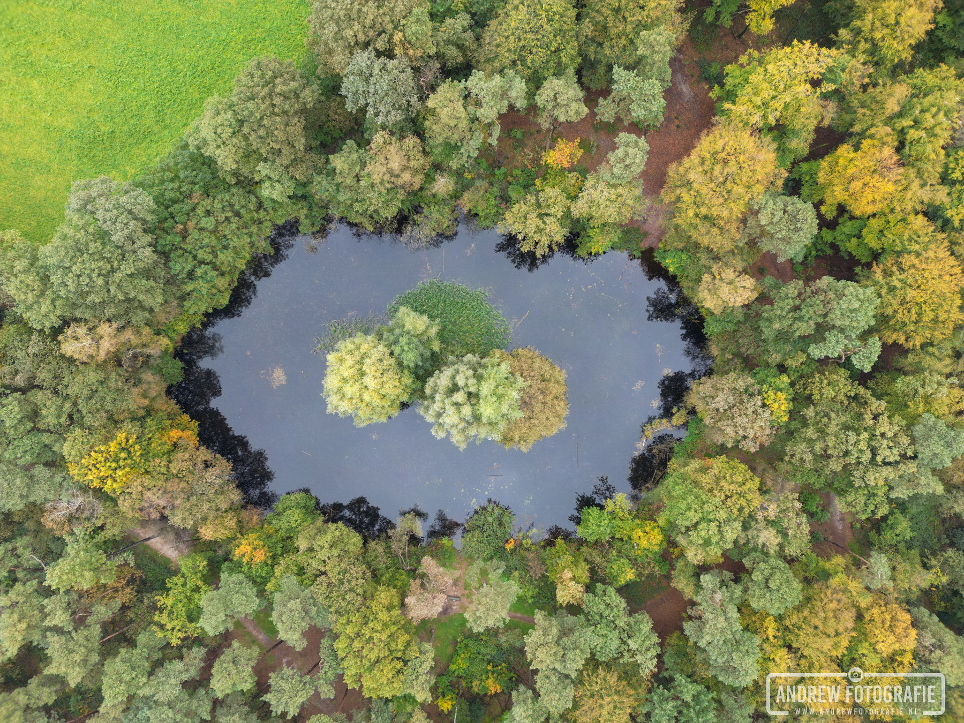 Loohuisbos Aalten (26-10-2023)