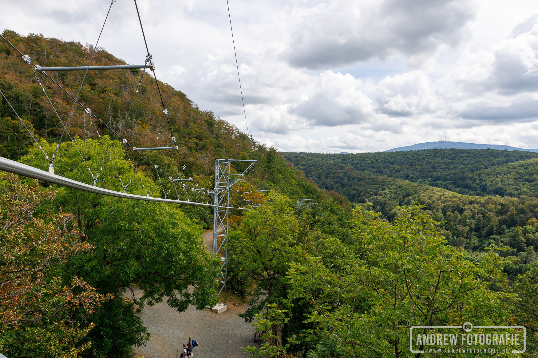 Zweven tussen de boomtoppen met de BaumSchwebeBahn in Bad Harzburg.
