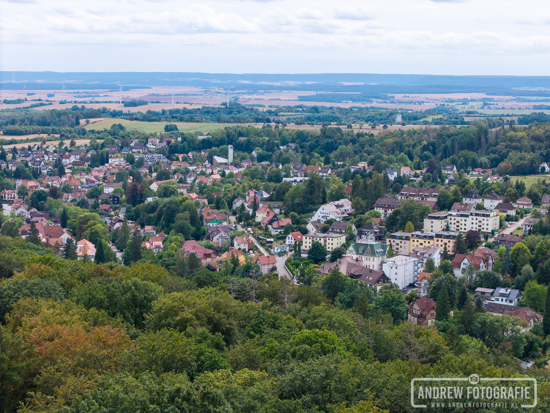 Panoramisch uitzicht over Bad Sachsa en de Harz
