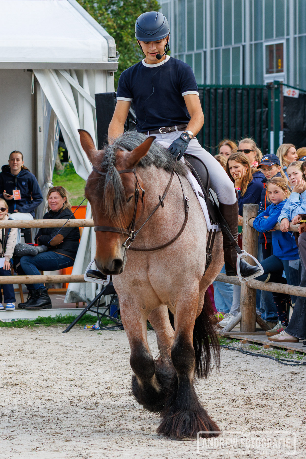 Robin Cooijmans rijdt op zijn Nederlandse trekpaard Bente tijdens Horse Event Youth 2026 in Vijfhuizen.