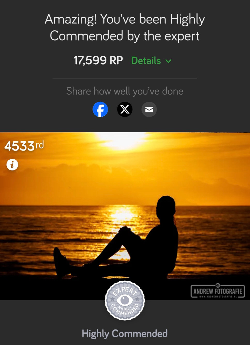 Uitslag Highly Commended award Photocrowd Silhouetten Contest