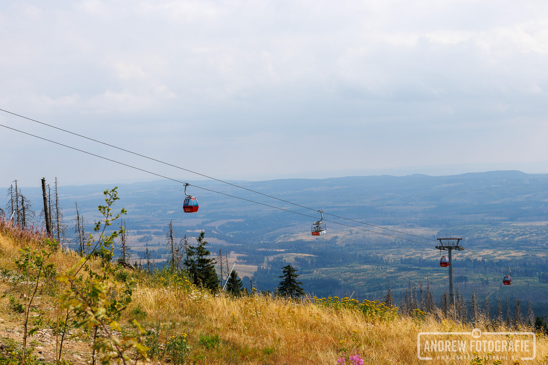 Zicht op de gondels van de Wurmbergseilbahn en de bergen