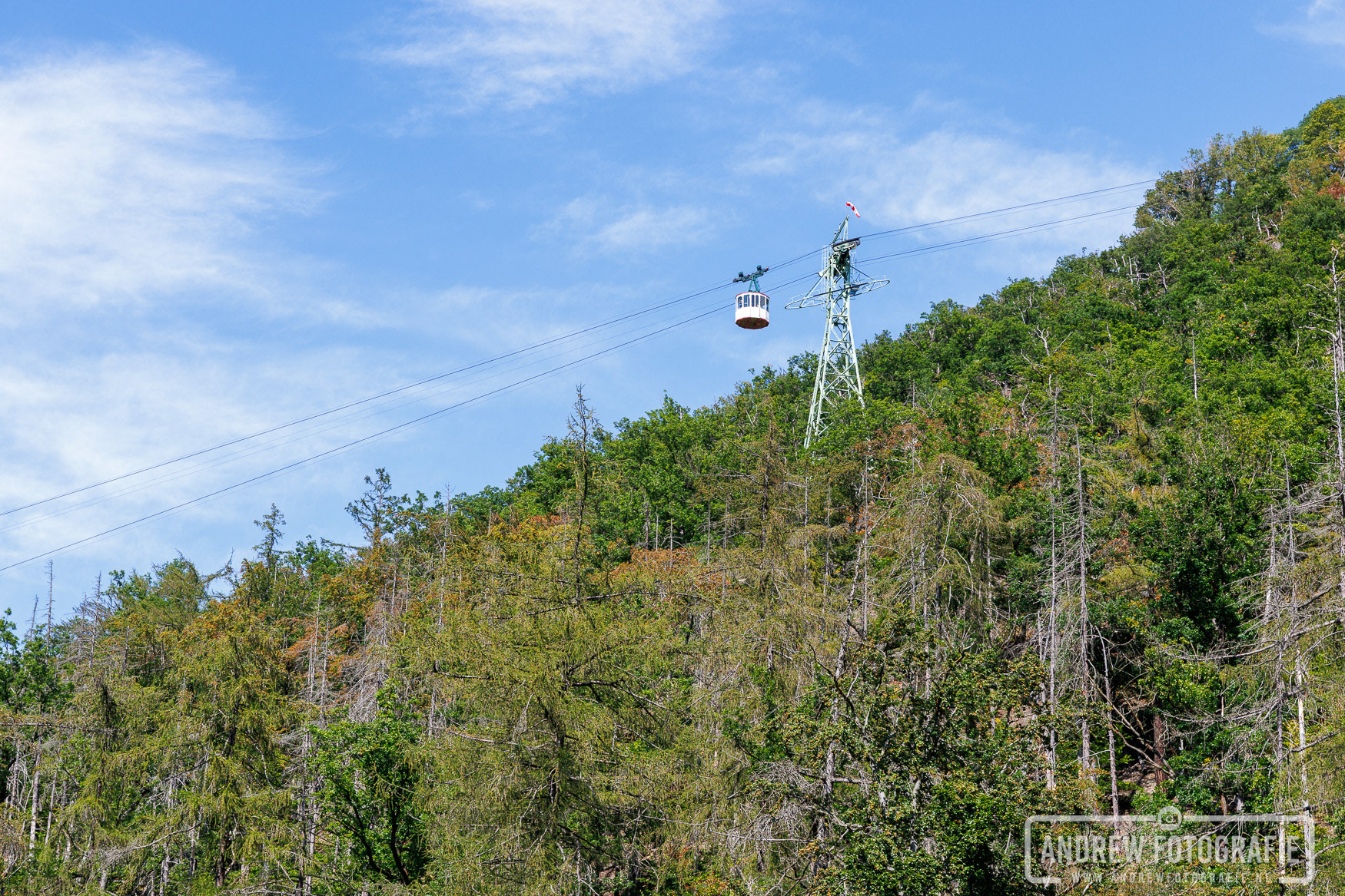 De Burgberg-Seilbahn zwevend boven de Harzbossen.
