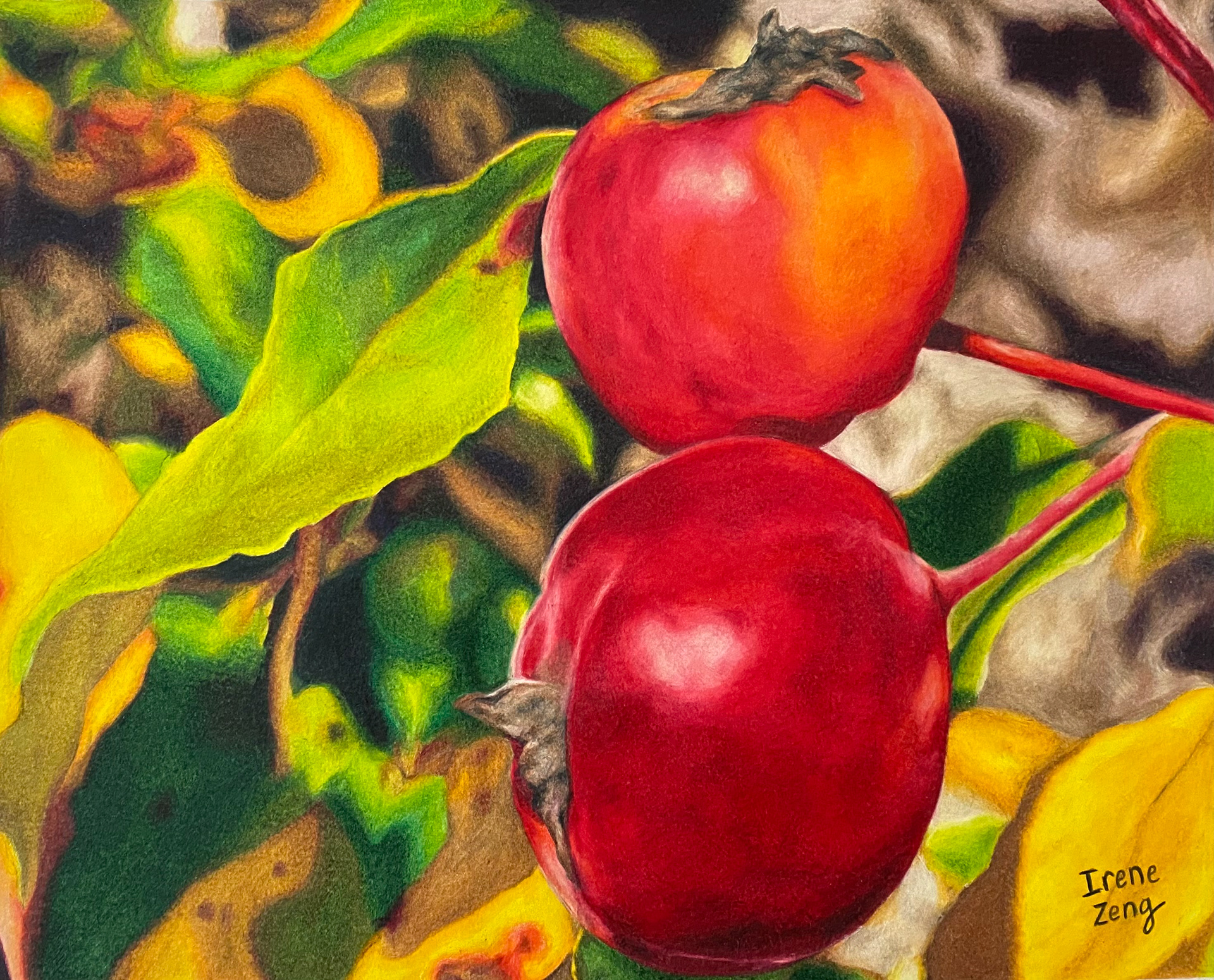 Vivid Growth,  Congressional Art Competition Award