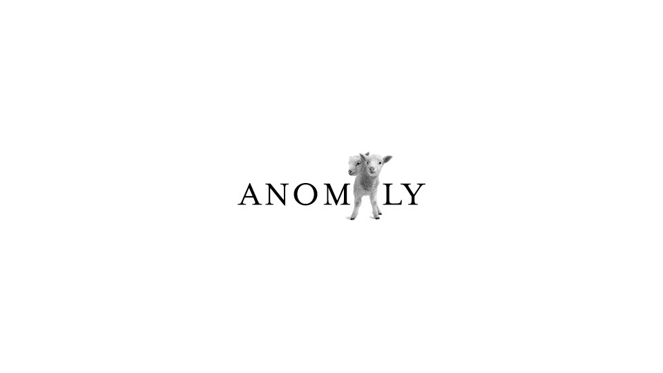 Anomaly