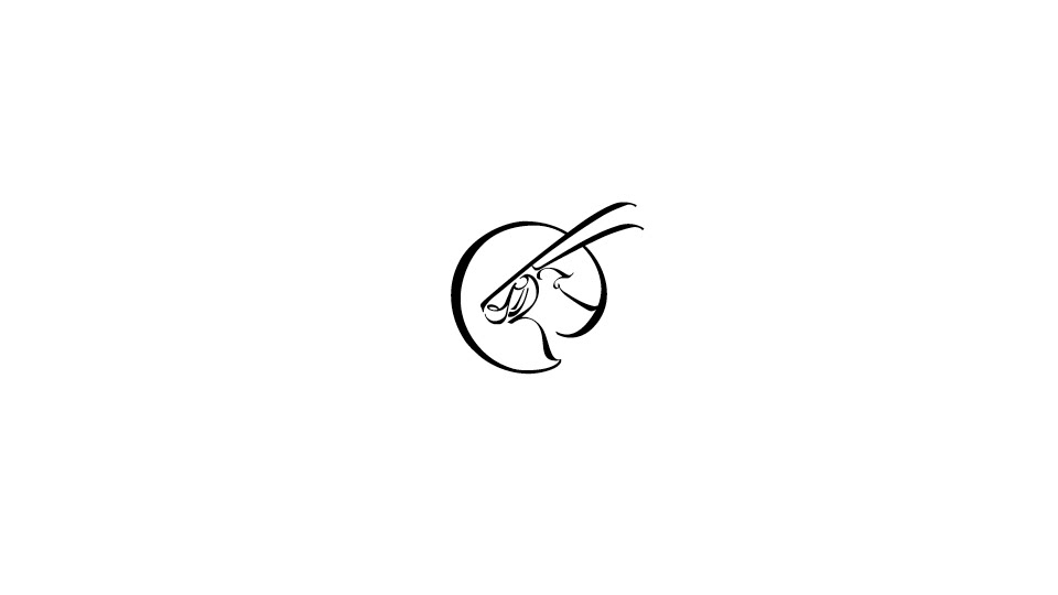 Qatar Airways logo exploration