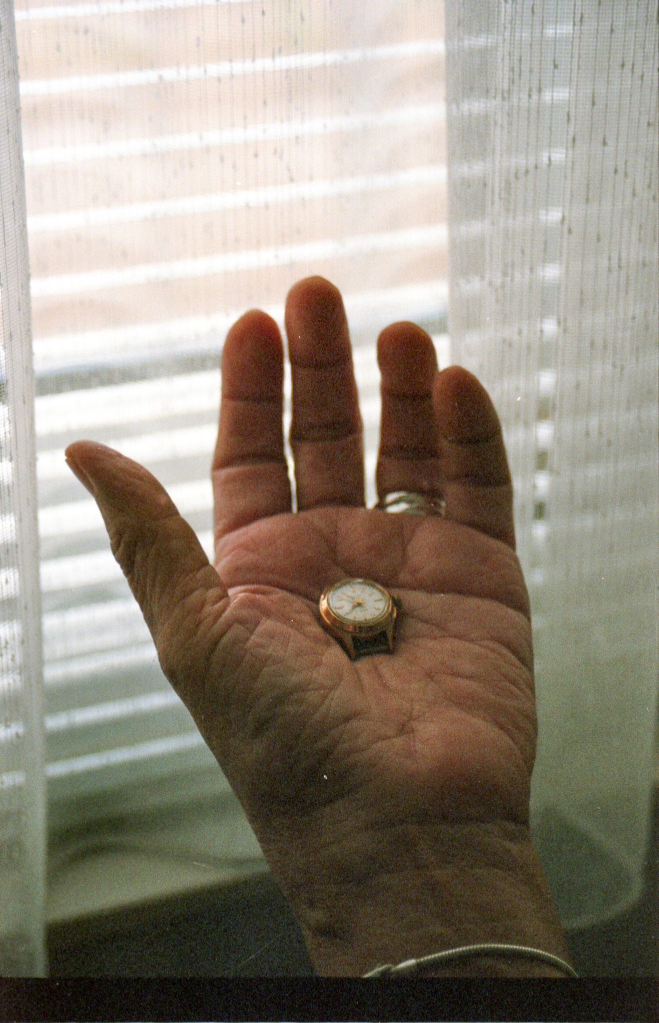 Afstudeer werk (Echo's van Indië) 