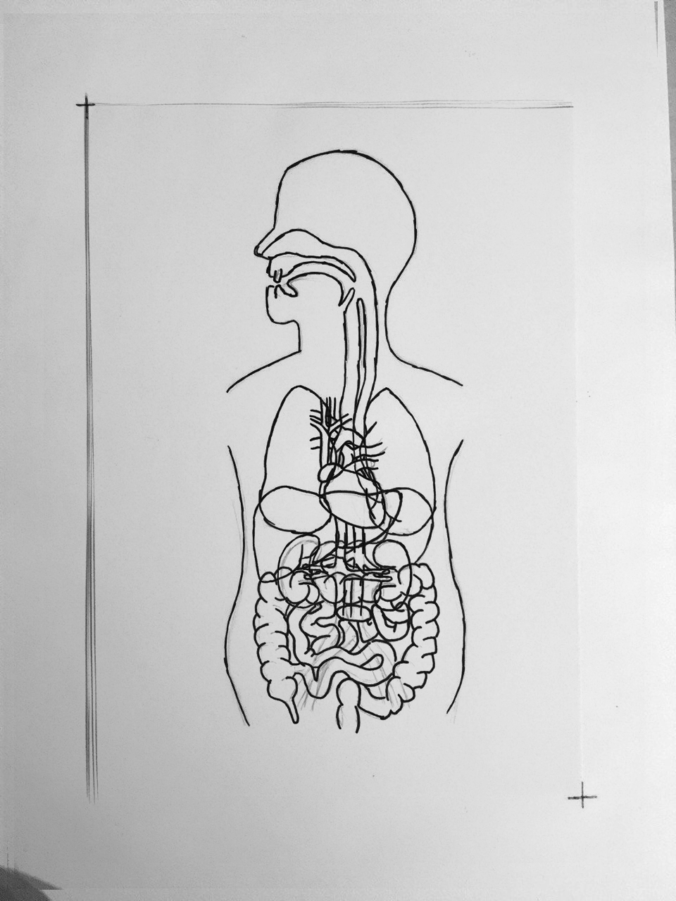 view inside the human body. Hand drawn by me.