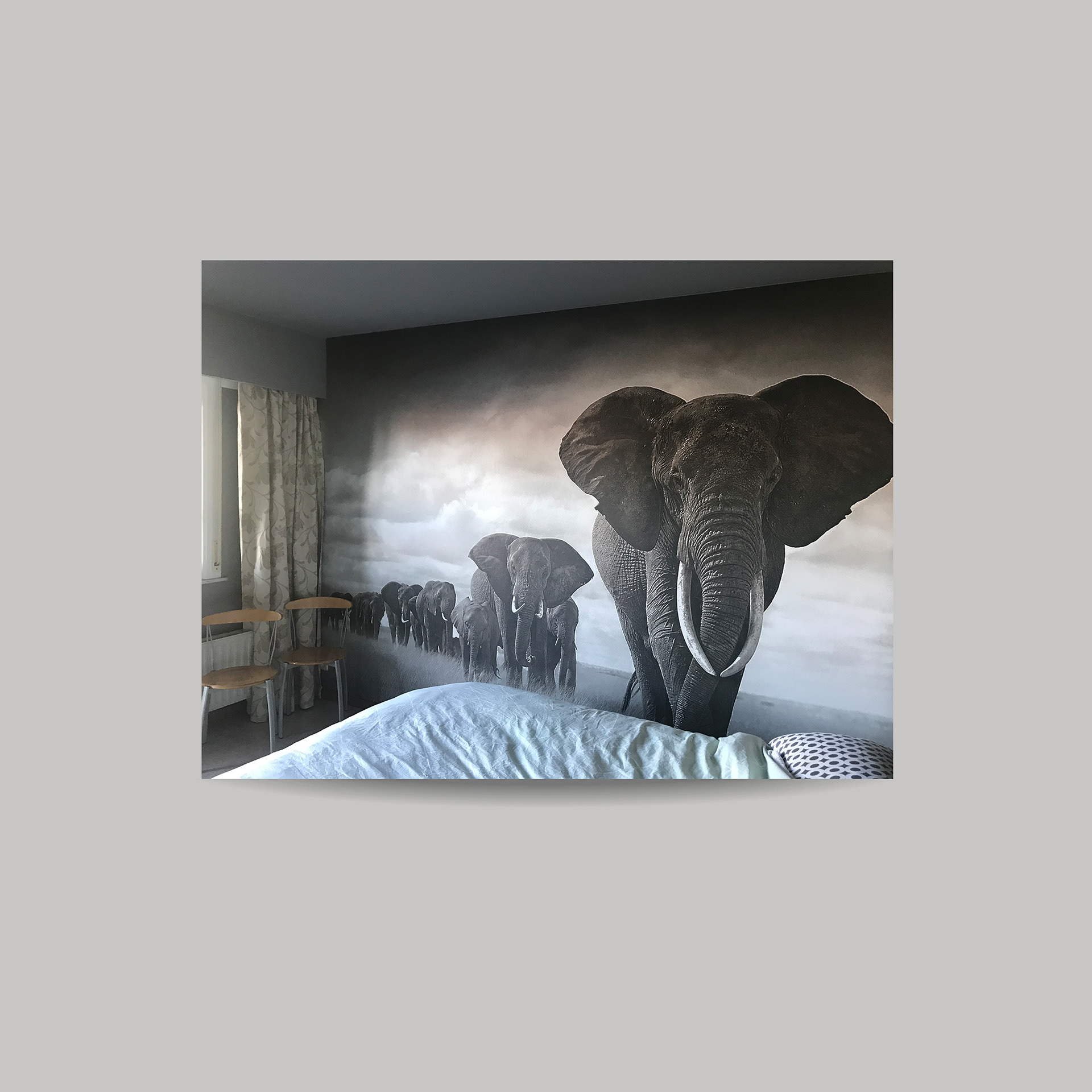 Wall Paper Elephants - slaapkamer