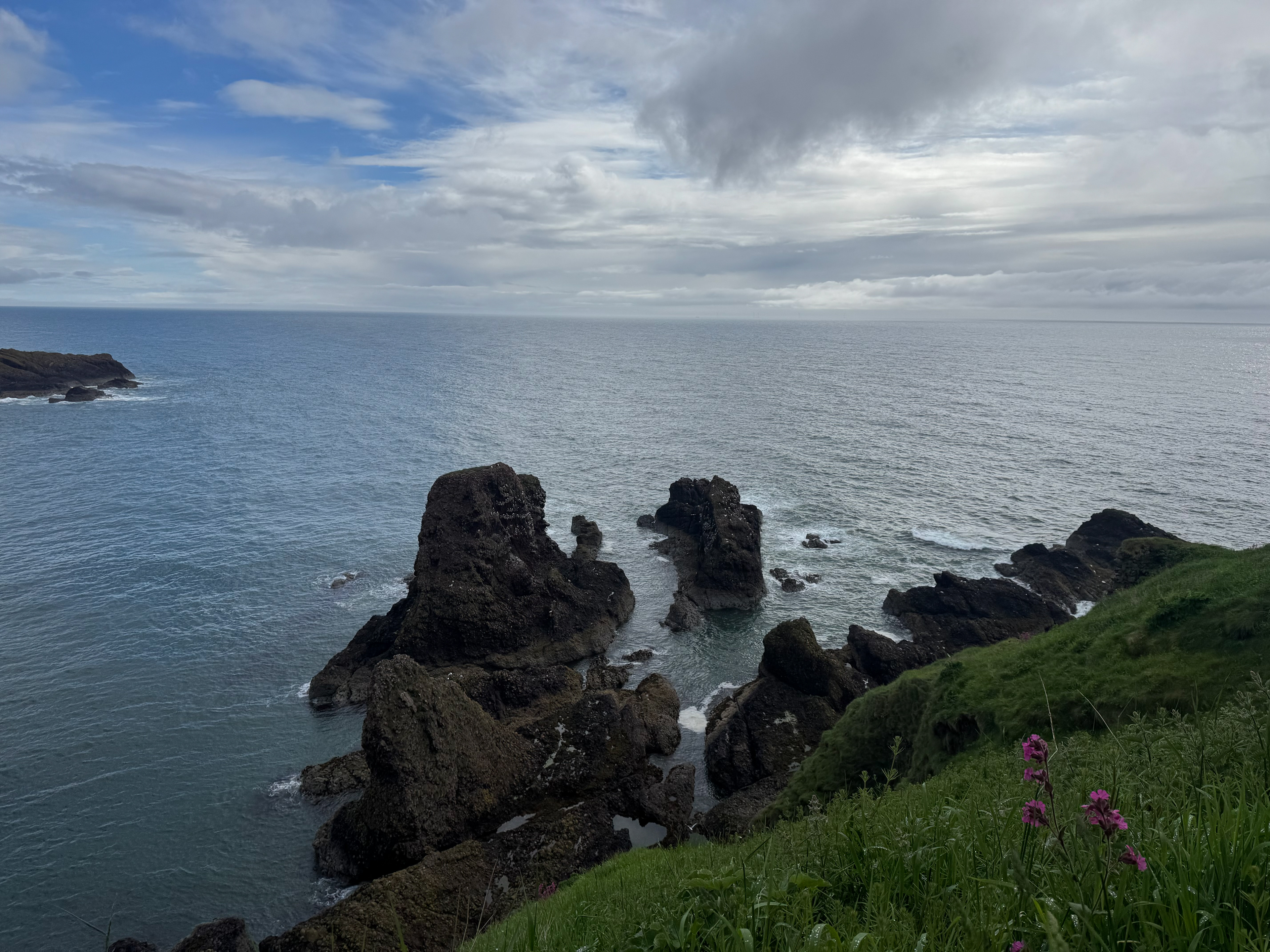 No. 36 "Edge", 2026 [Aberdeenshire, Scotland, UK]