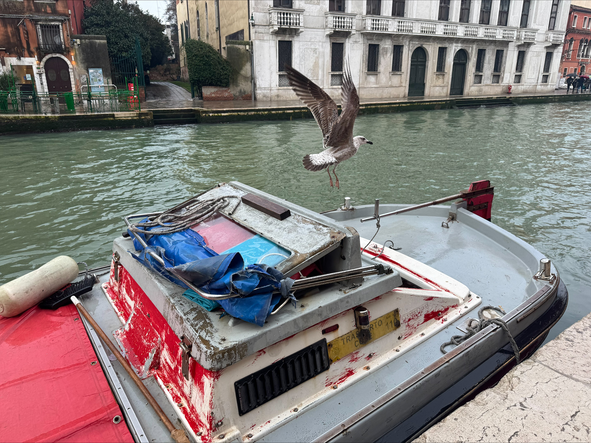 No. 17 "Drift", 2026 [Venice, Veneto, Italy]