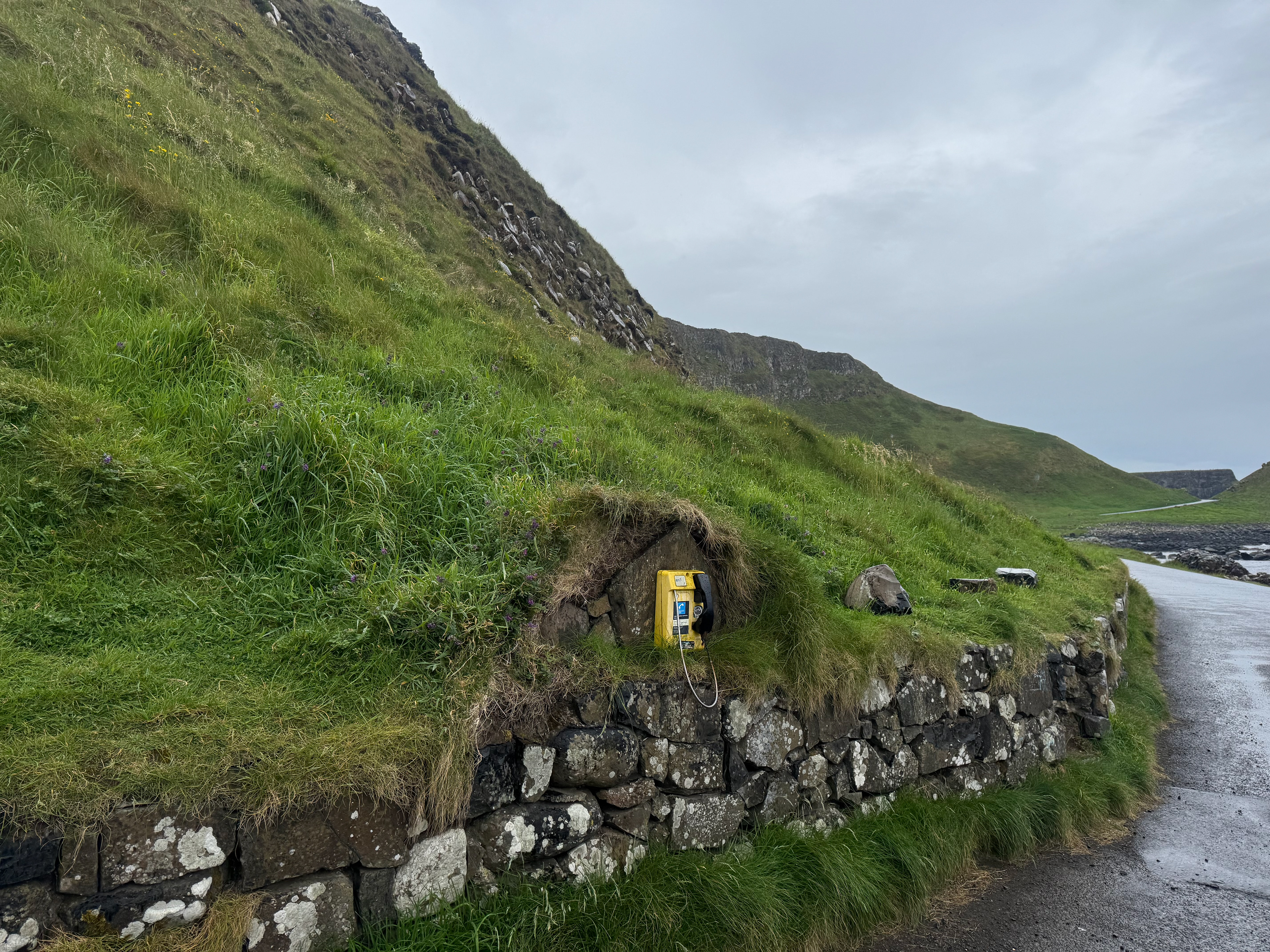 No. 05 "Mossy Telephone", 2026 [County Antrim, Northern Ireland, UK]