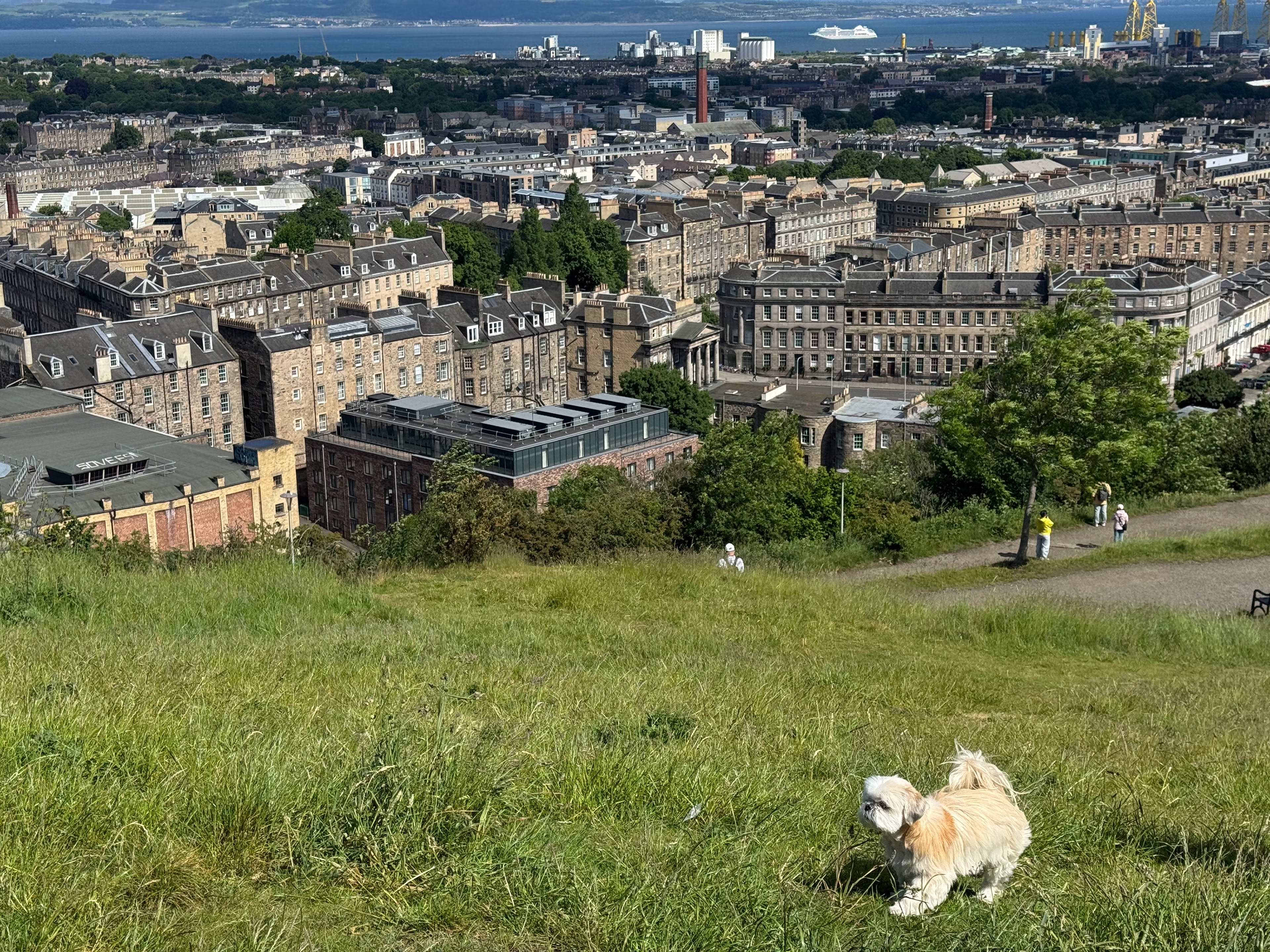 No. 23 "Vista", 2026 [Edinburgh, Scotland, UK]