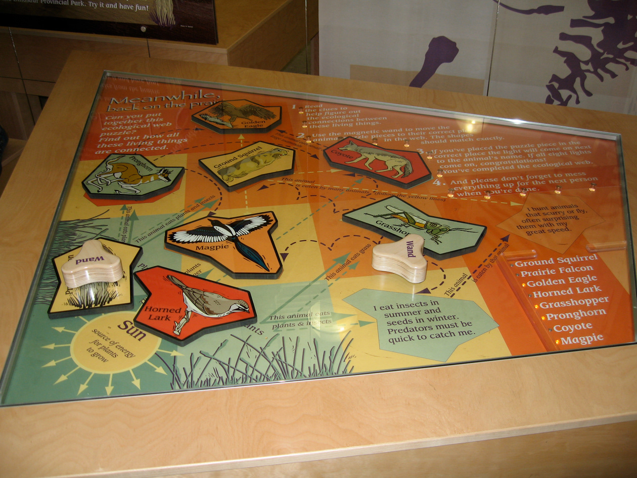 Ecological web puzzle