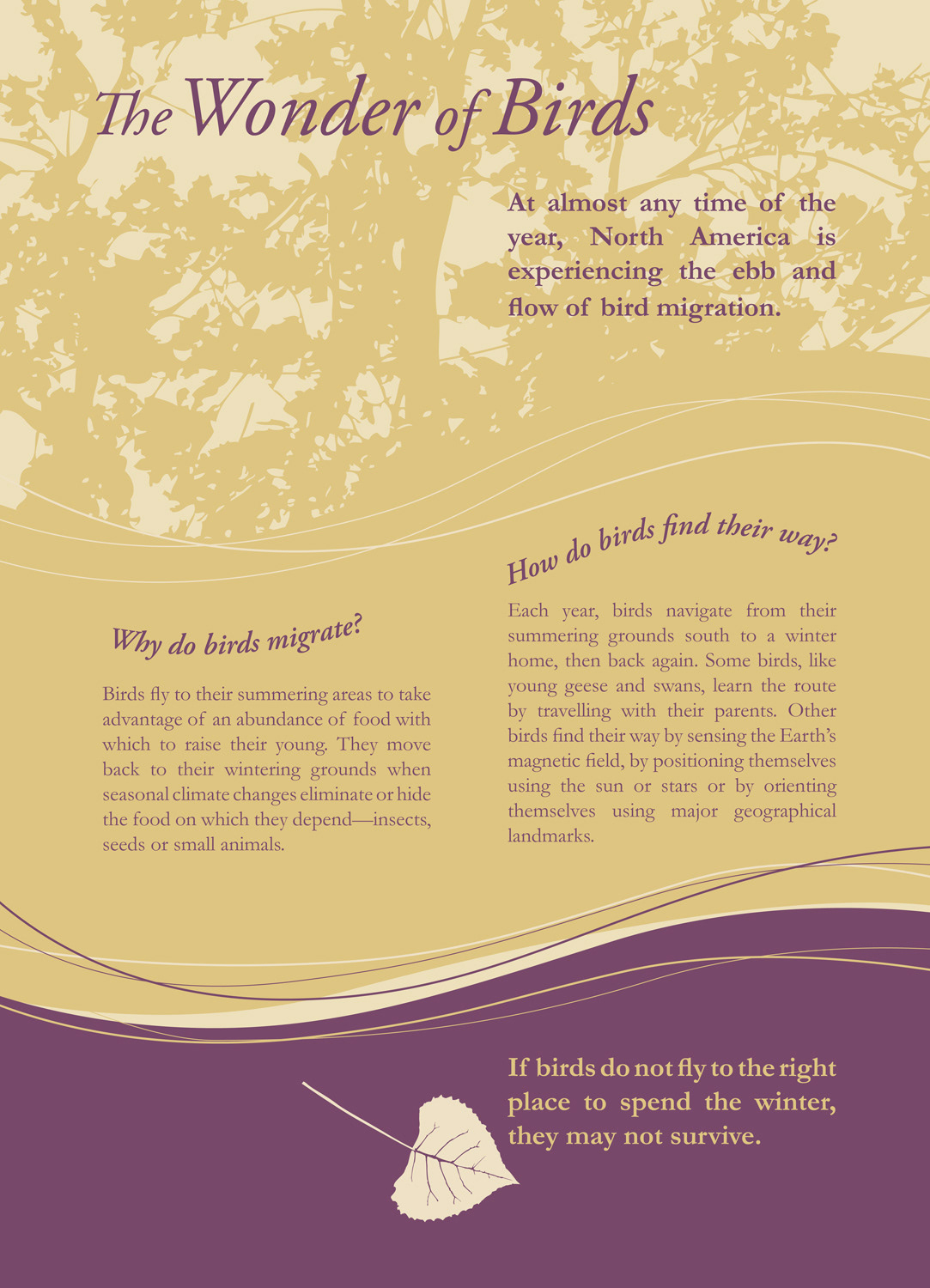 Interpretive signage