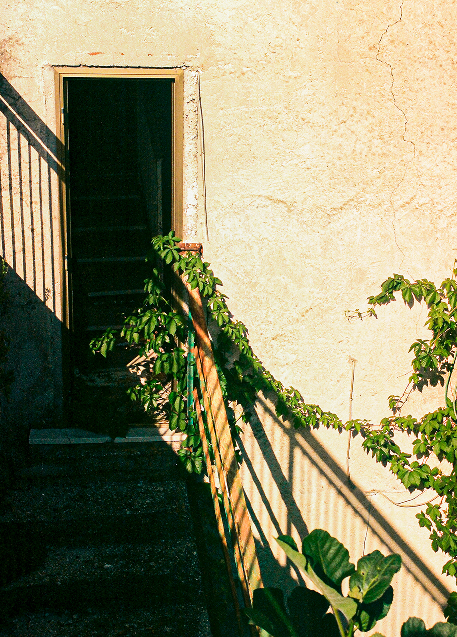 La Porta, San Vittore del Lazio, 2023