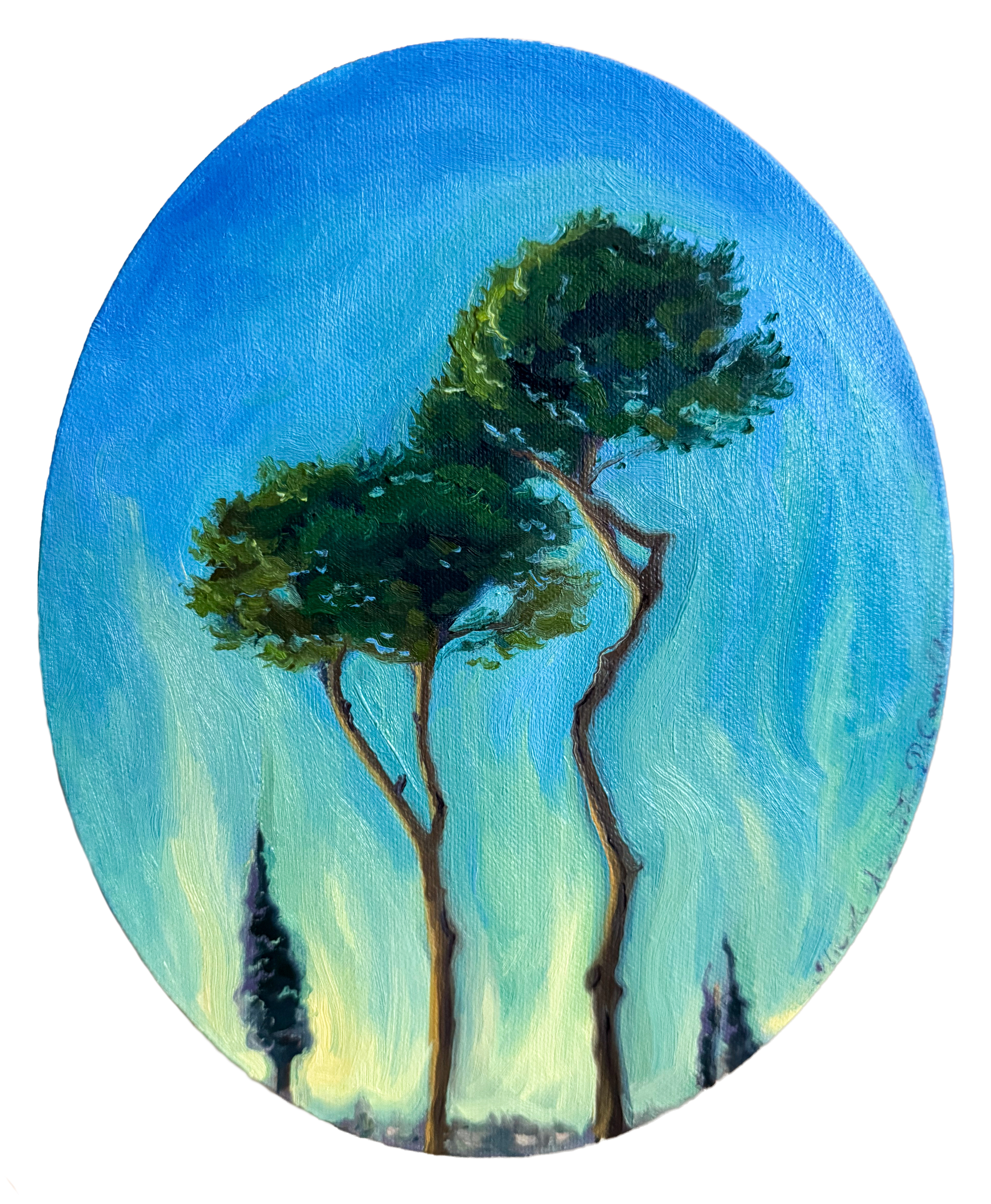 Due Pini Romani, 2026