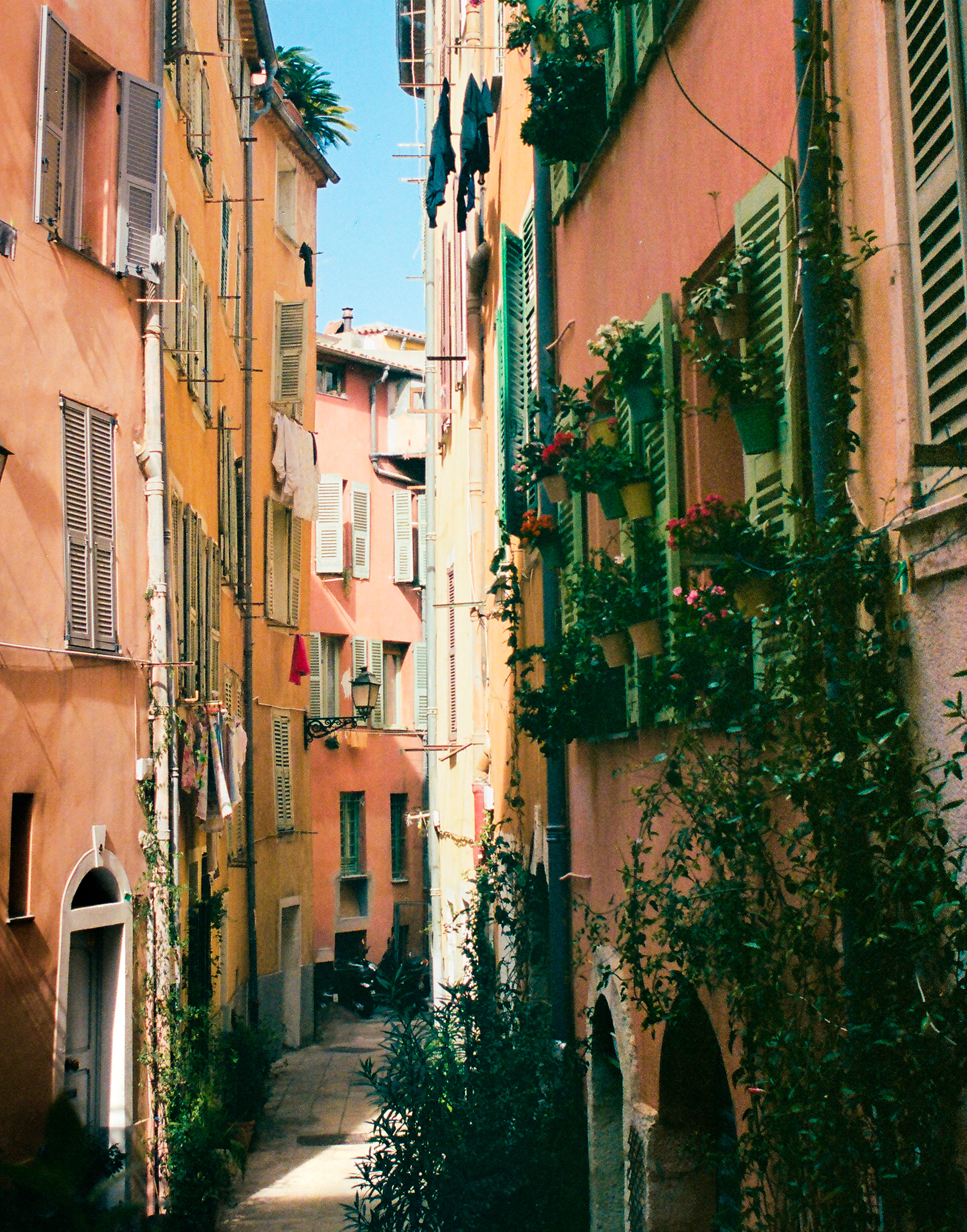Strada Colorata a Nizza, 2023