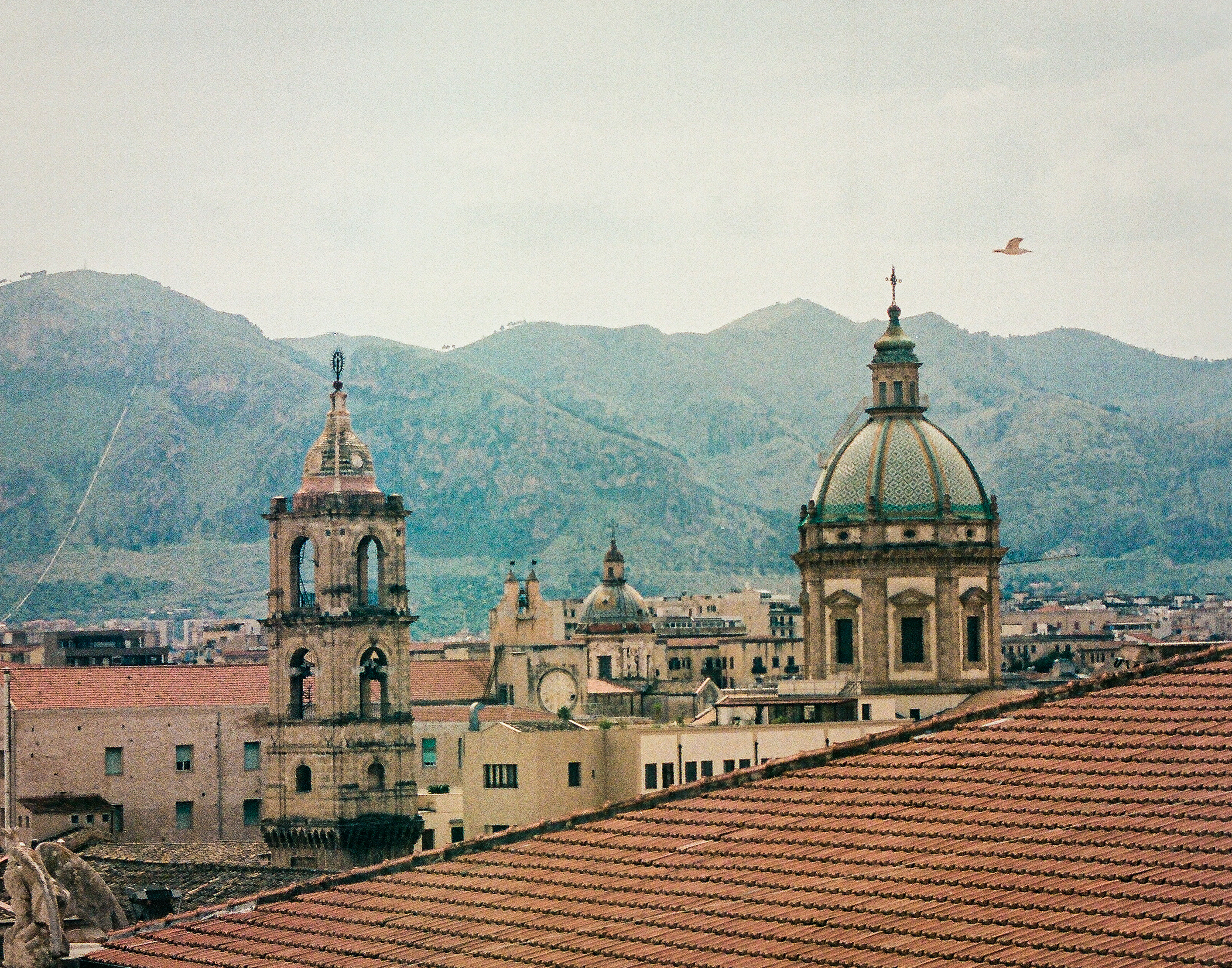 Le Chiese del Palermo, 2023