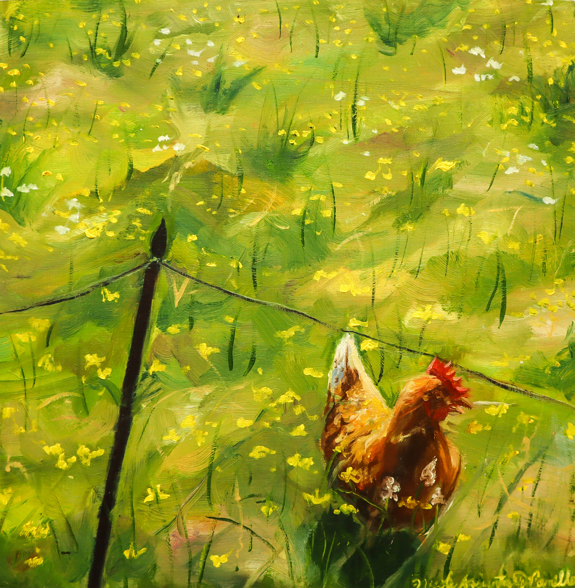 The Chicken I Met, 2024