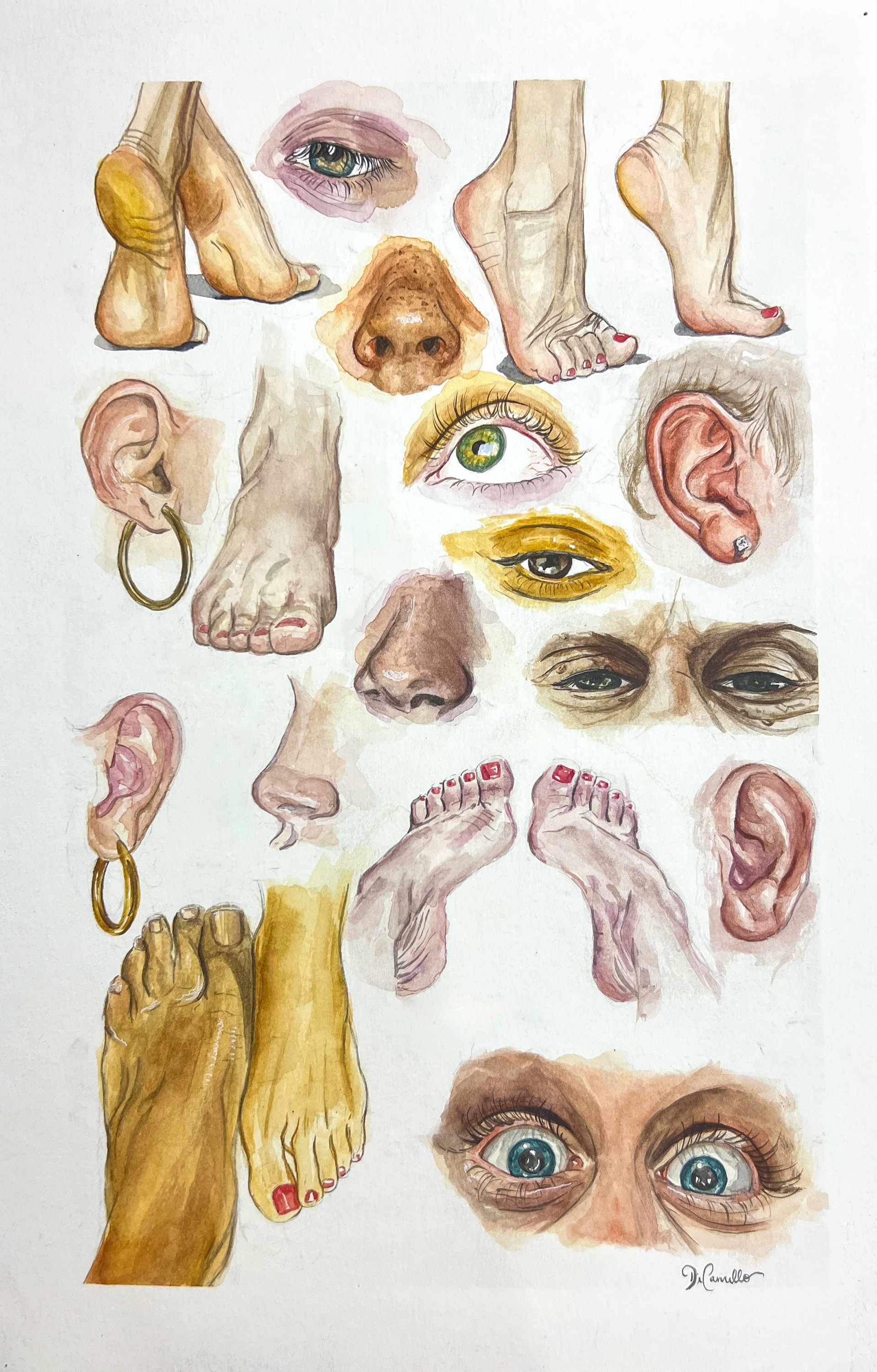 Features Study, 2022