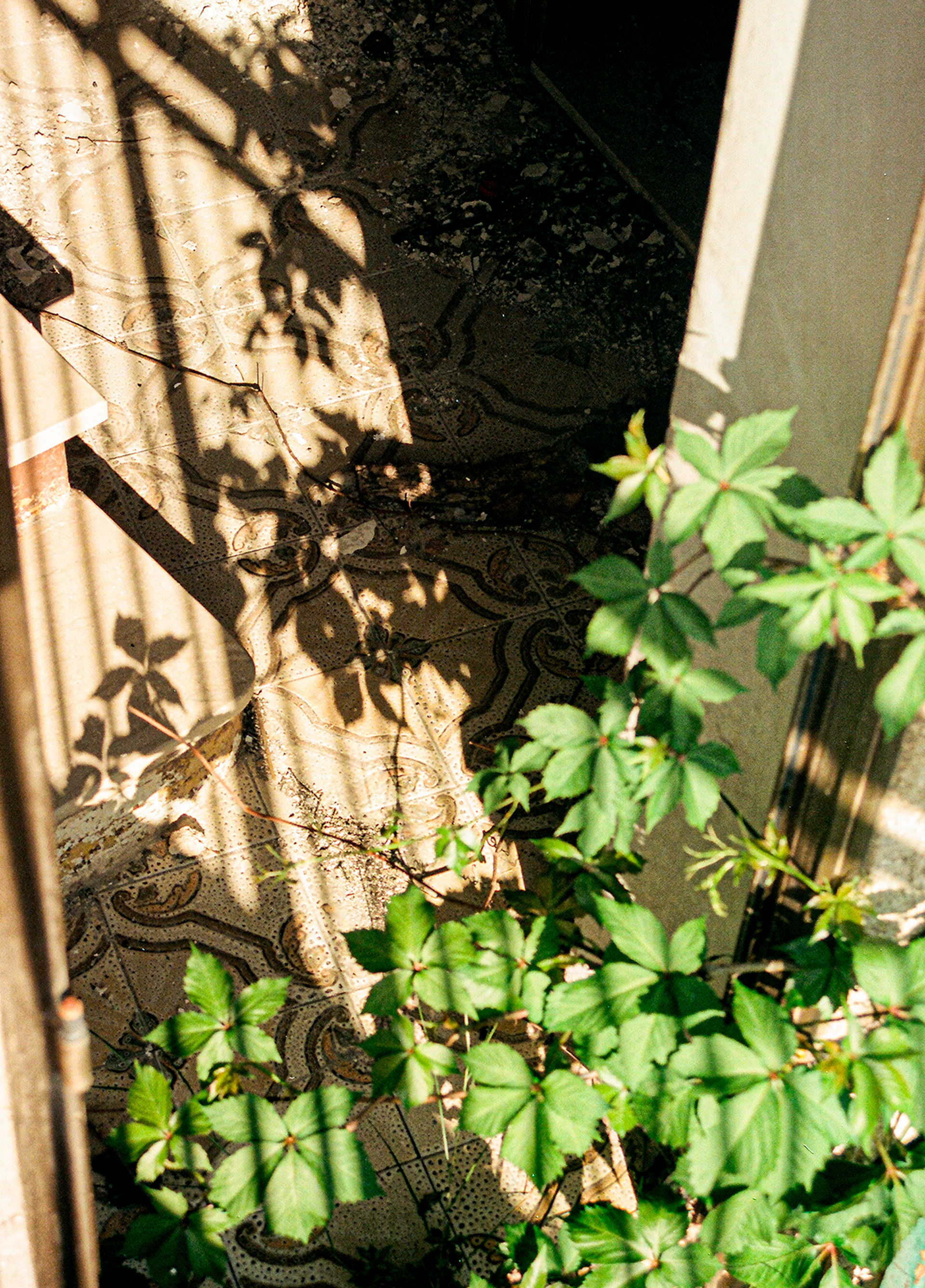 What Once Was, San Vittore del Lazio, 2023