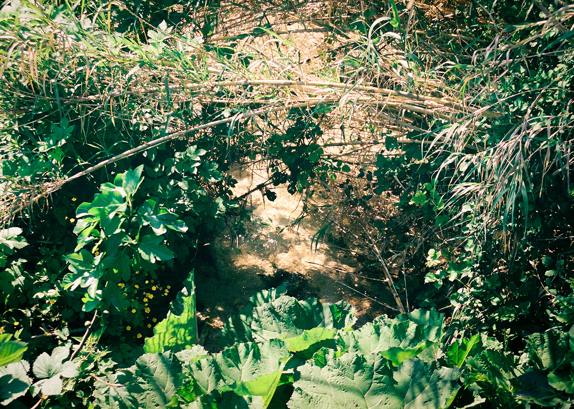 I Followed the Sound of the River, San Vittore del Lazio, 2023