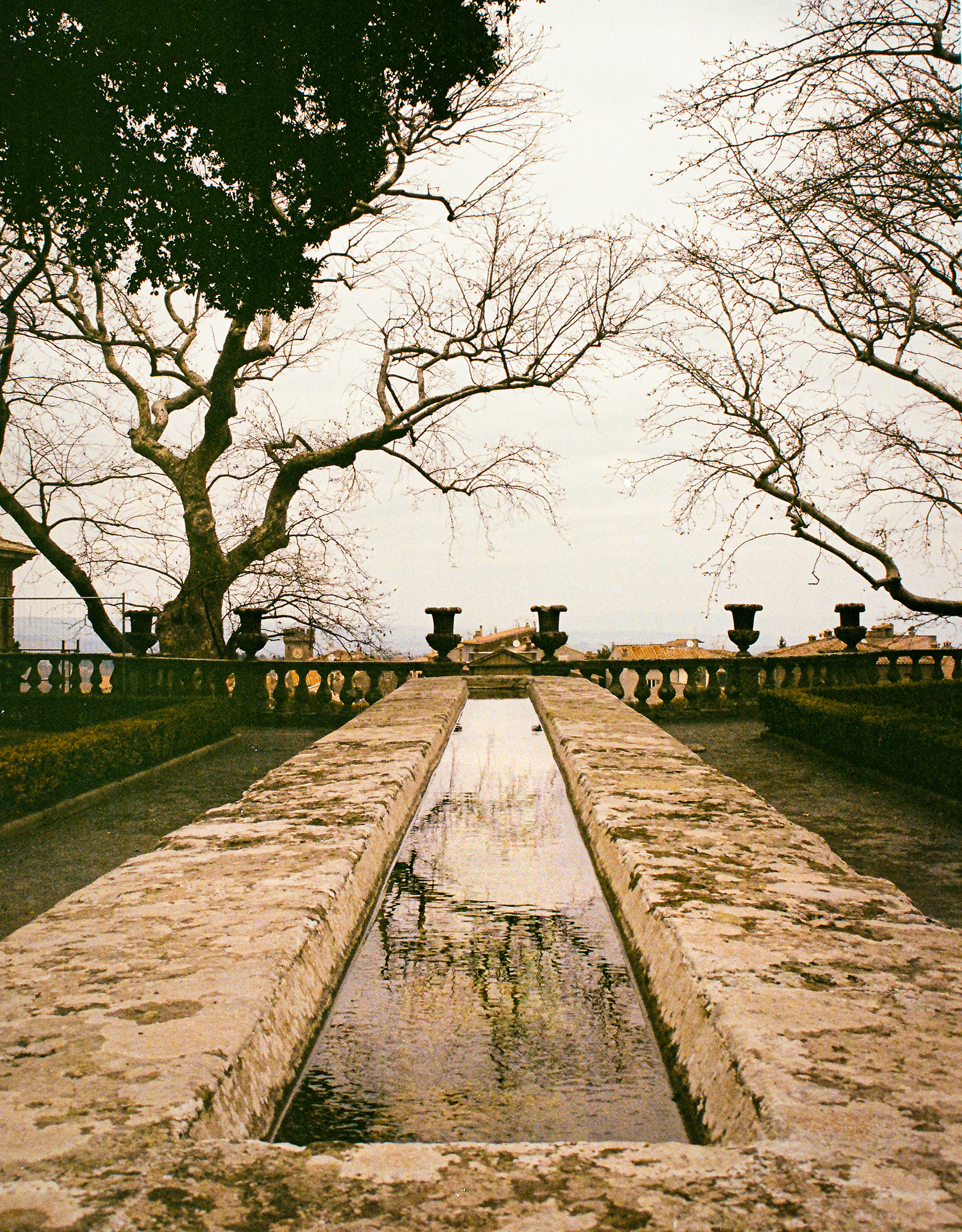 Il Tavolo da Pranzo, Villa Lante, 2023