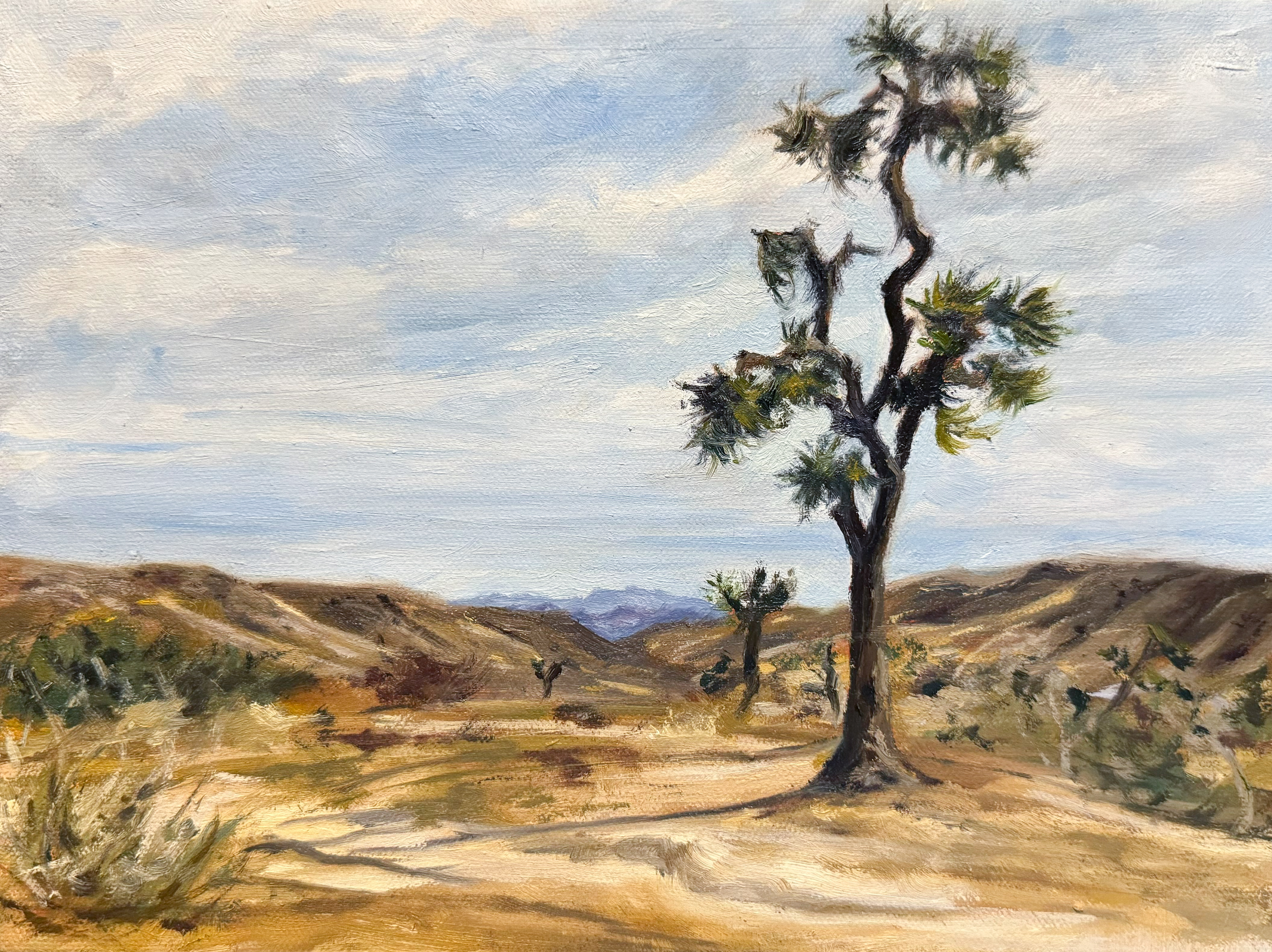 Joshua Tree, 2025