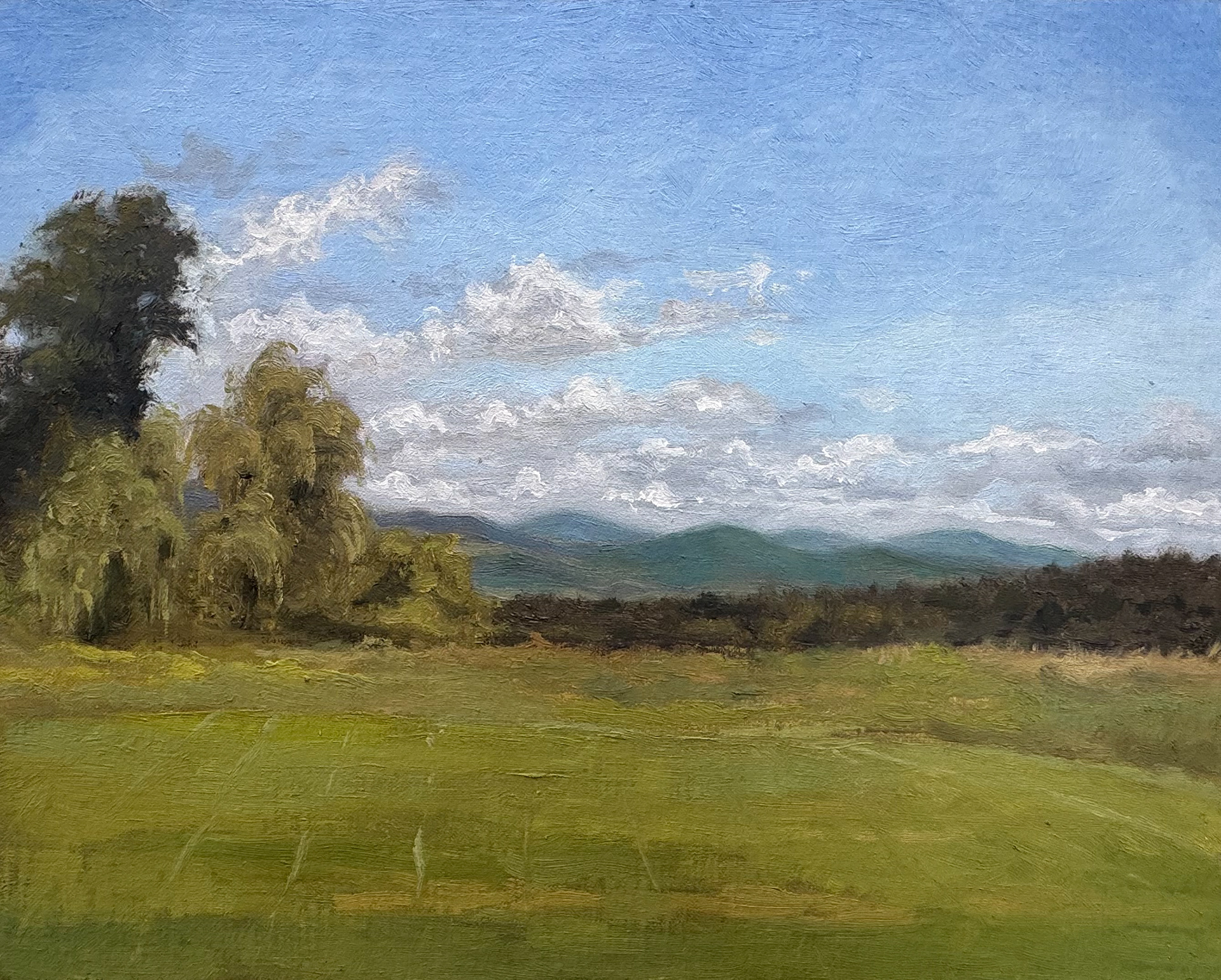 Willow Trees in Lakeville, Connecticut, 2026