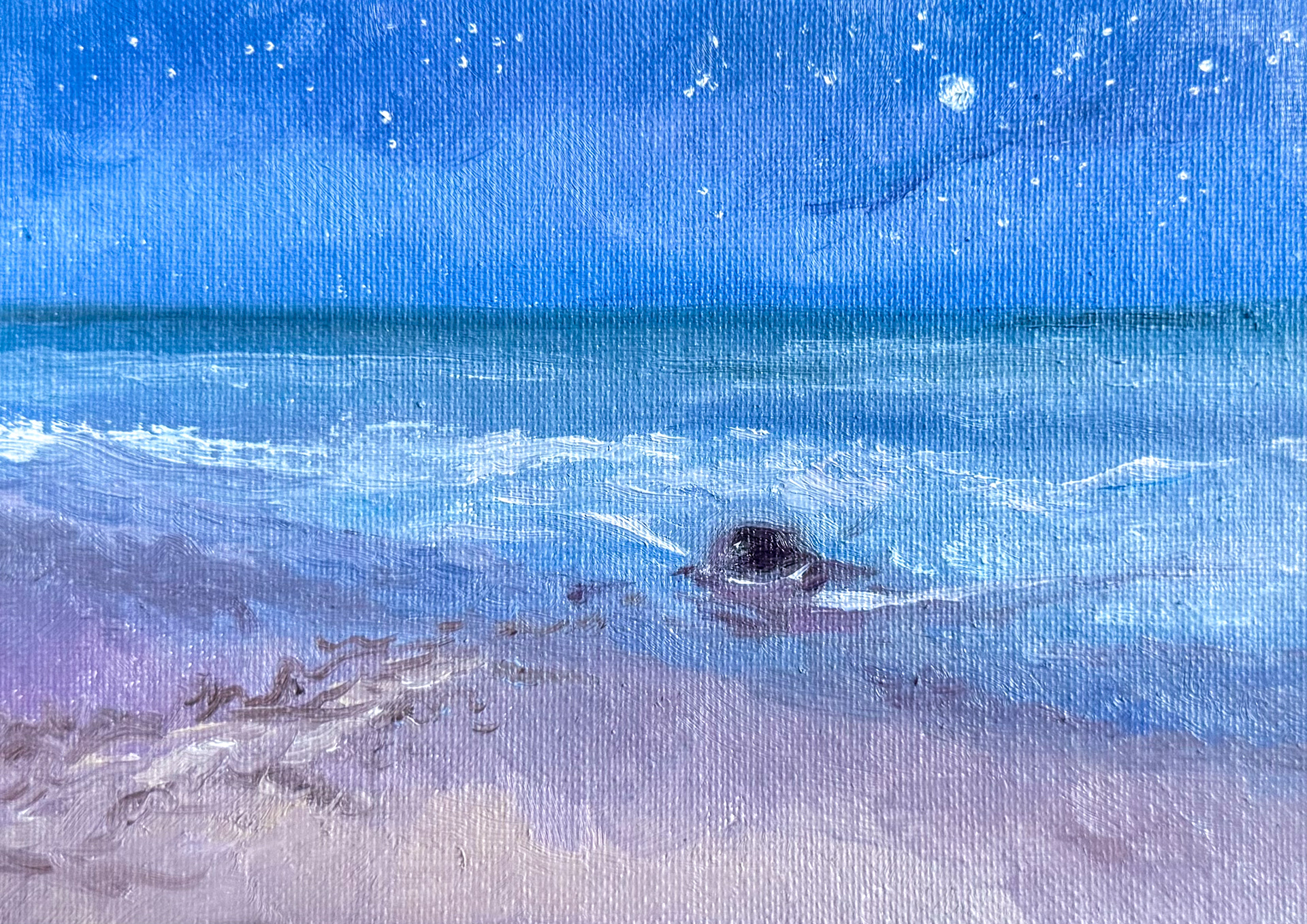 Nesting Turtle, 2025