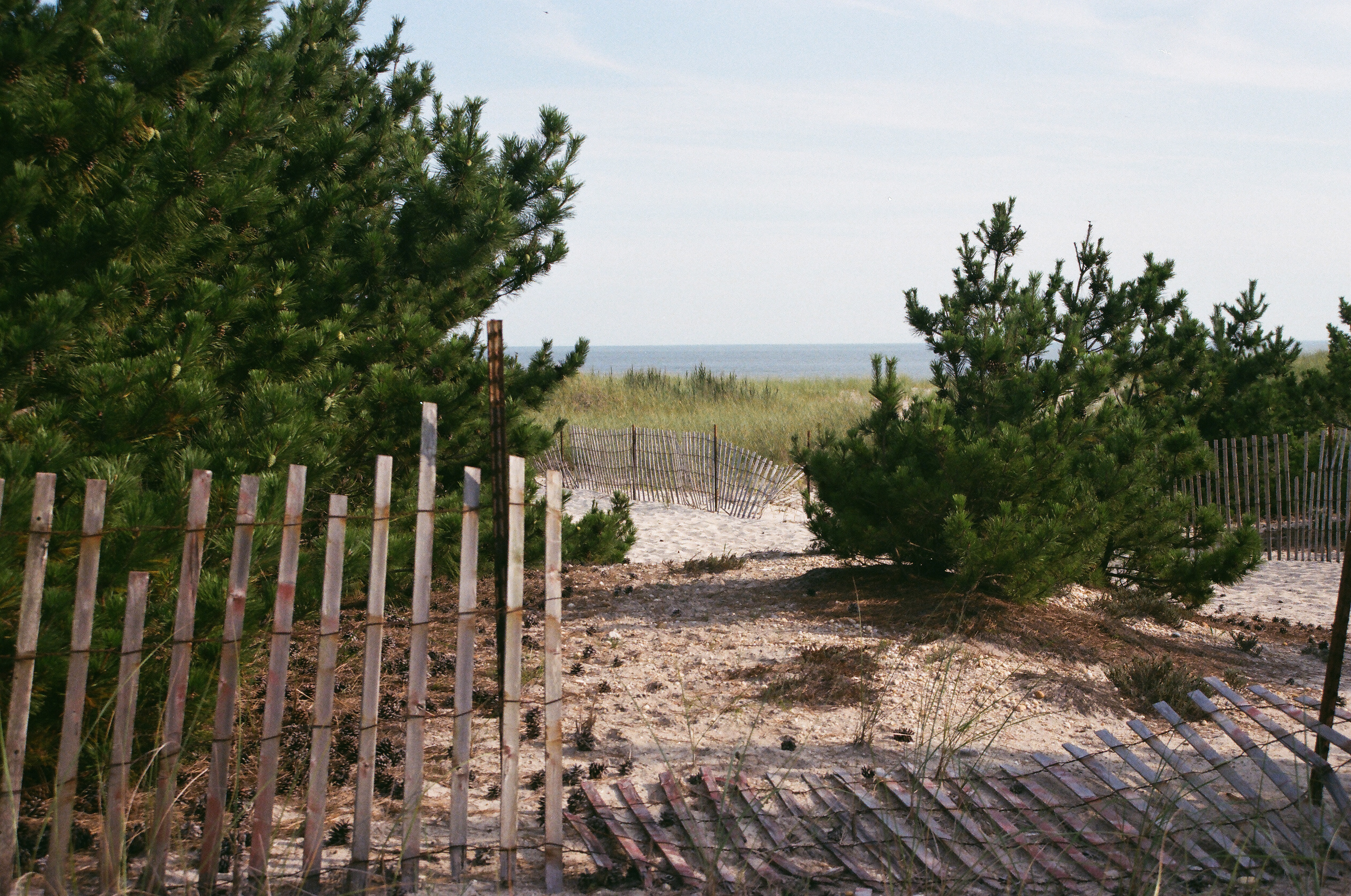 Smith Point, NY, 2024